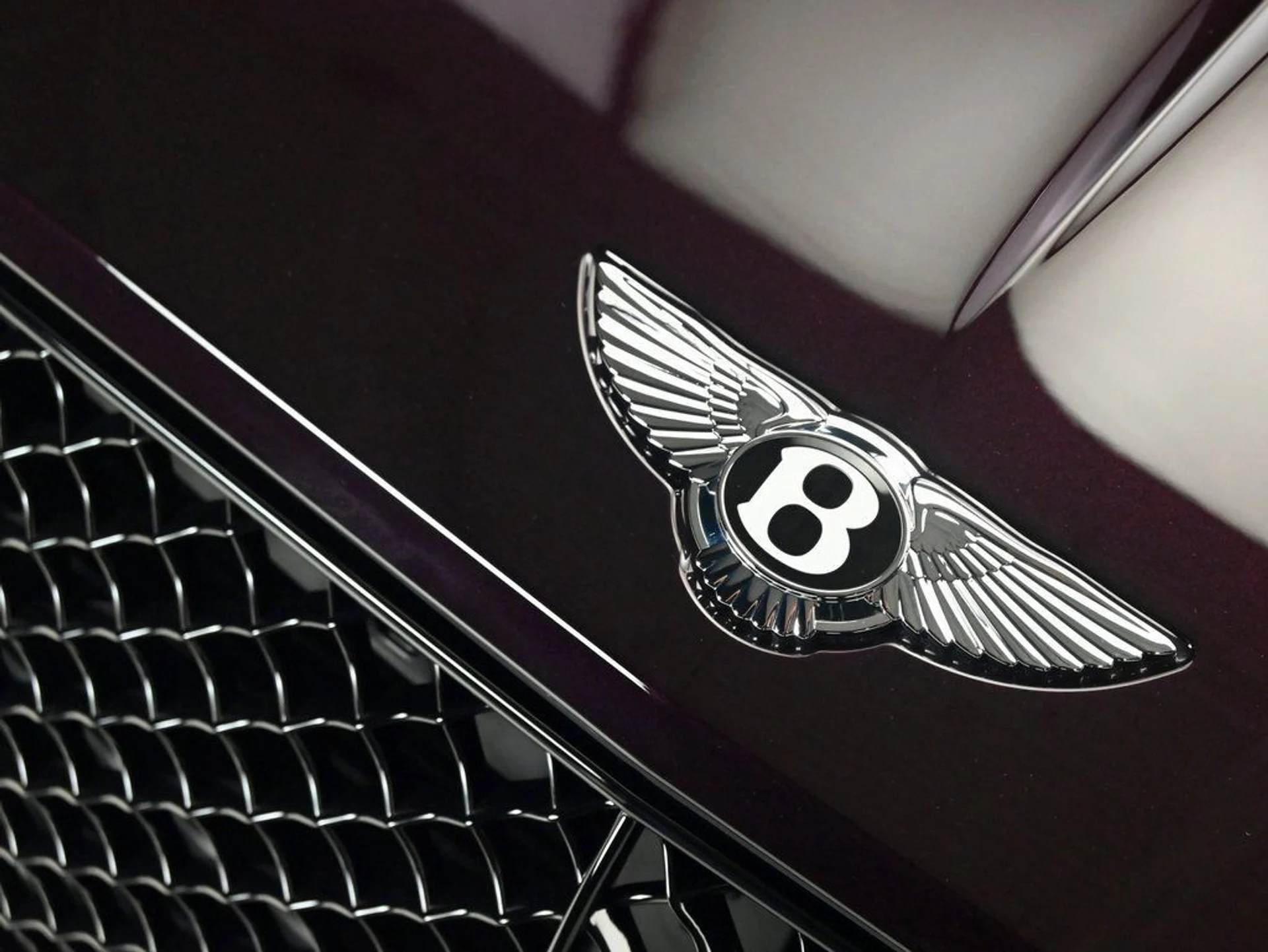 mph025_4027198182_8b4a9300ca9f401a99b083b676d08cc0_63baae9d32