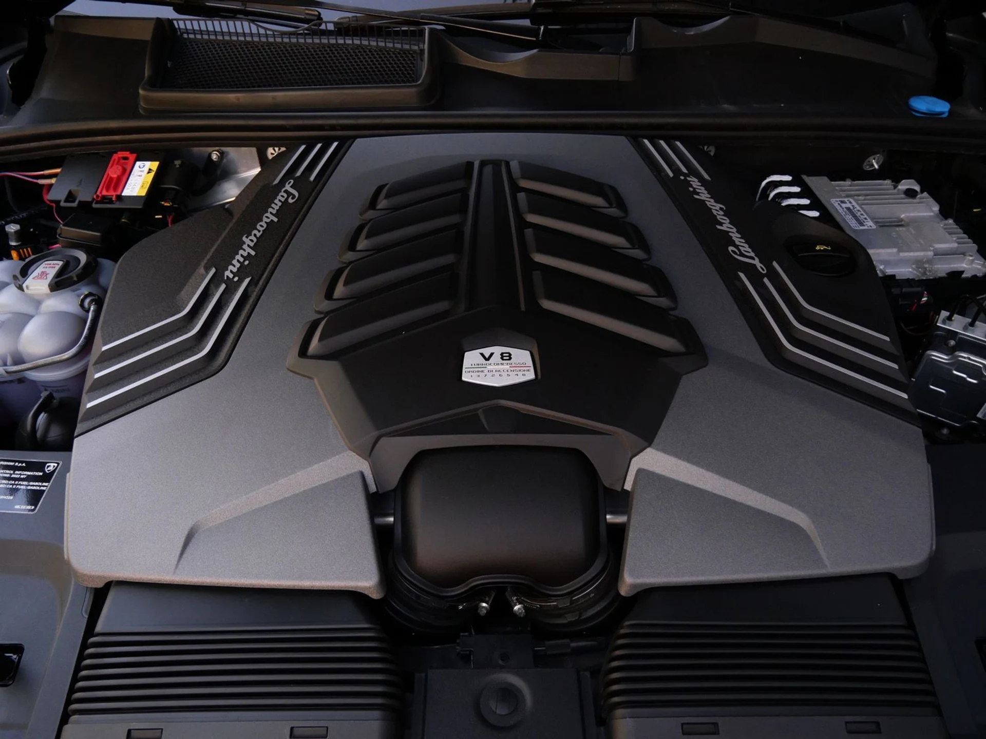 mph025_4032126473_8c46821fcaf7a2f1f4bfc895065cd899x_9be44c6953