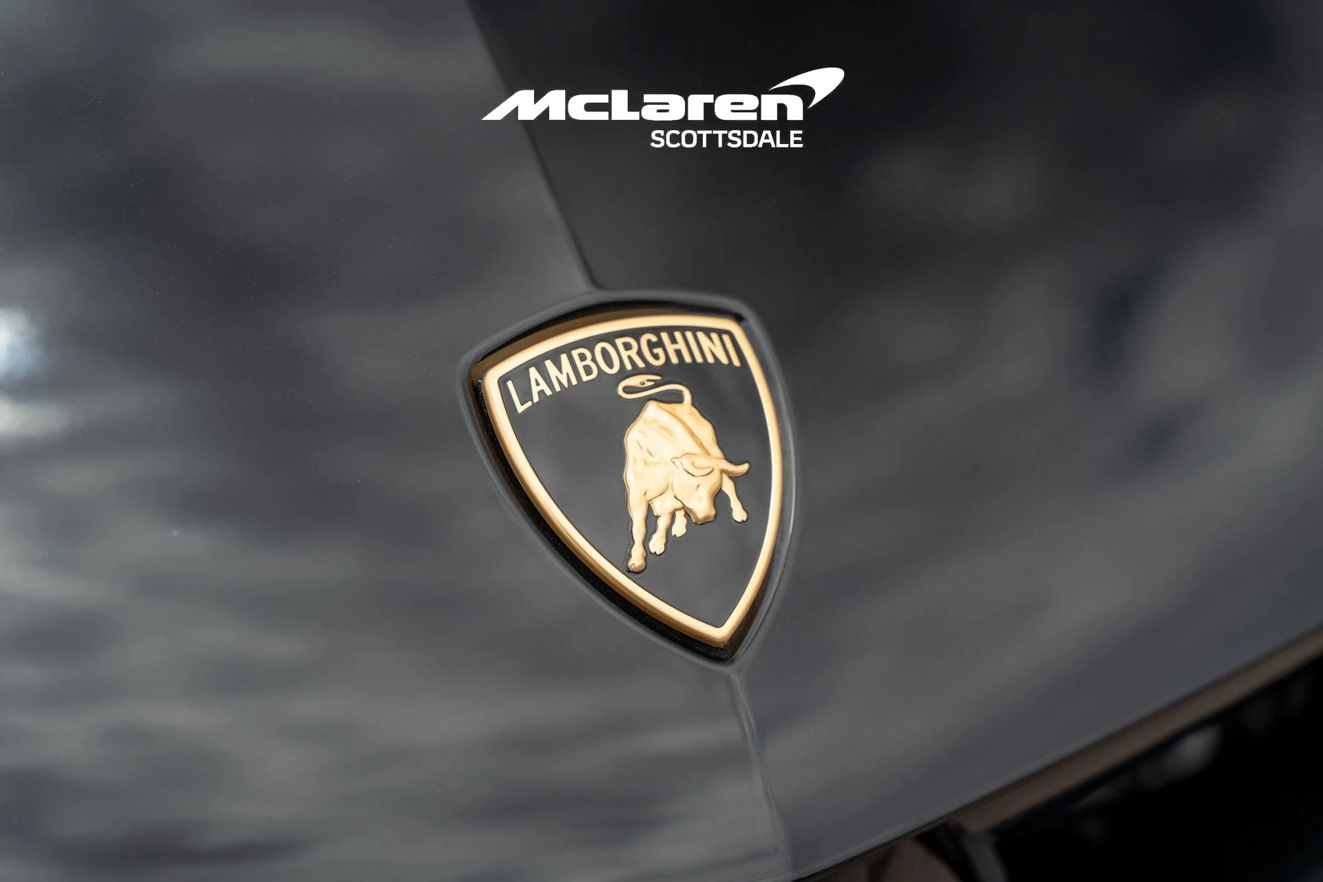 mph025_4245539376_Used_2025_LAMBORGHINI_URUS_SE_1786123267_f278004804