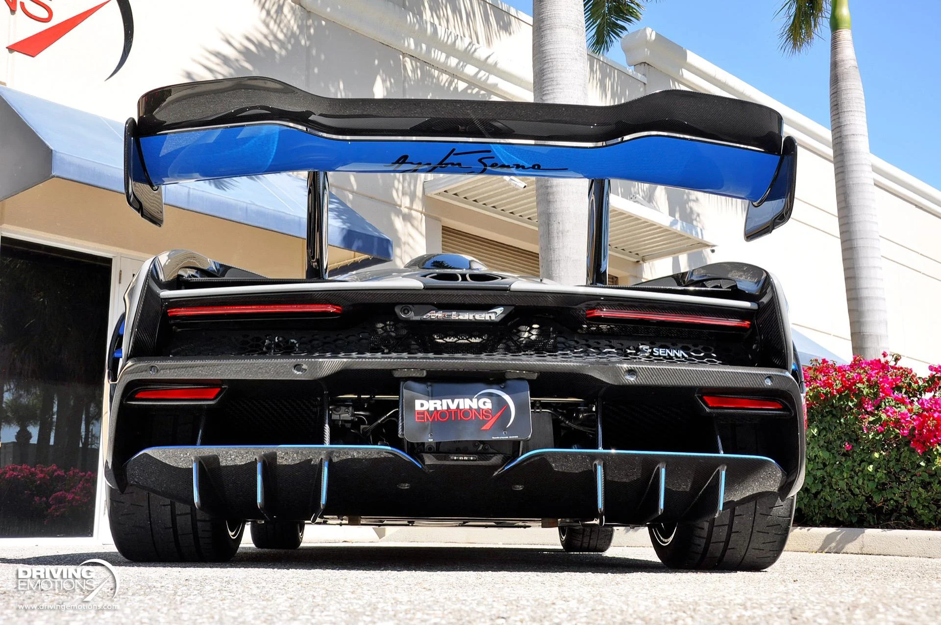 mph025_490374250_683_p26_l_94794c0e09