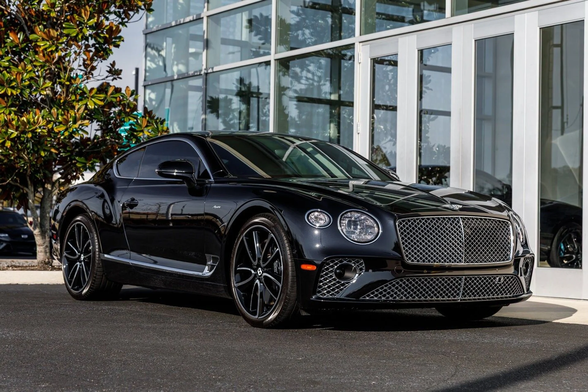 mph025_588830105_3a6eb40c65e41b162f2b5f4249be0876x_0aa4fec042