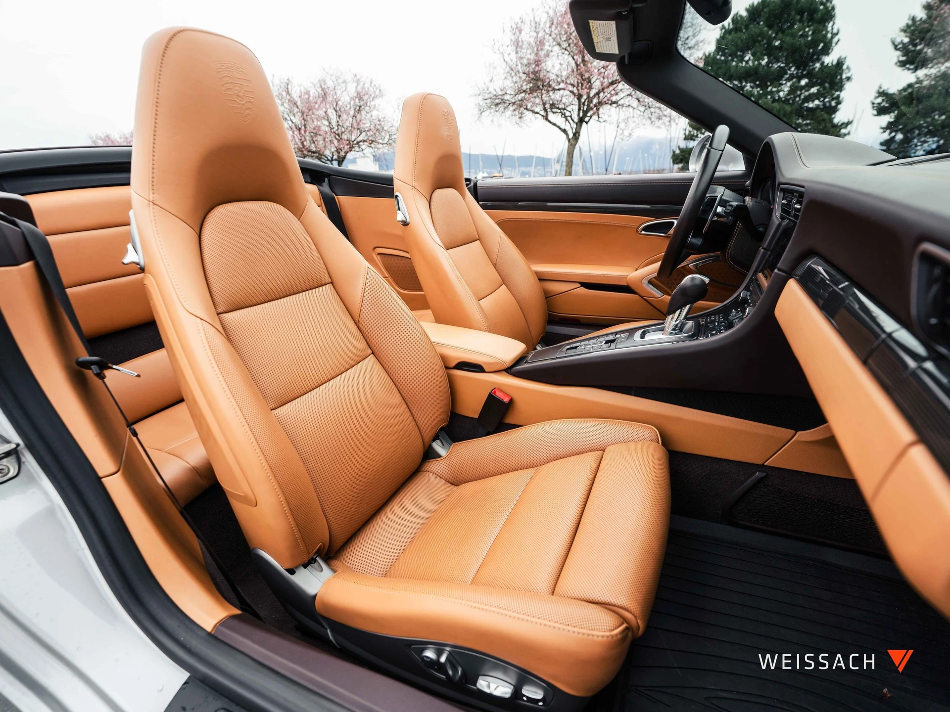 mph025_667704984_cb4c8ecc_6b71_4daa_968a_3ecfbc10caf1_386a319366