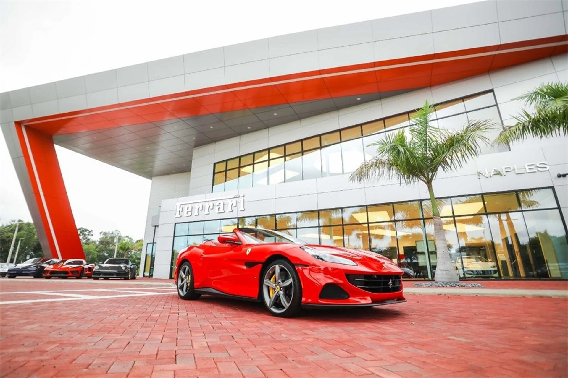 mph025_696342776_8a5b431bde25dd020d48b91e8d73ebe3_616dc781d8