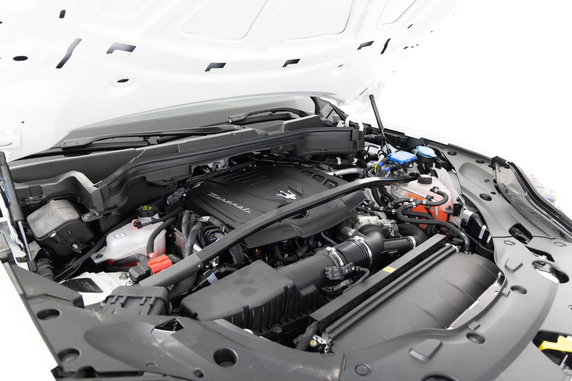 mph026_1014303082_5871fa5536534998a00869aaea850f19_6e7a502ebe