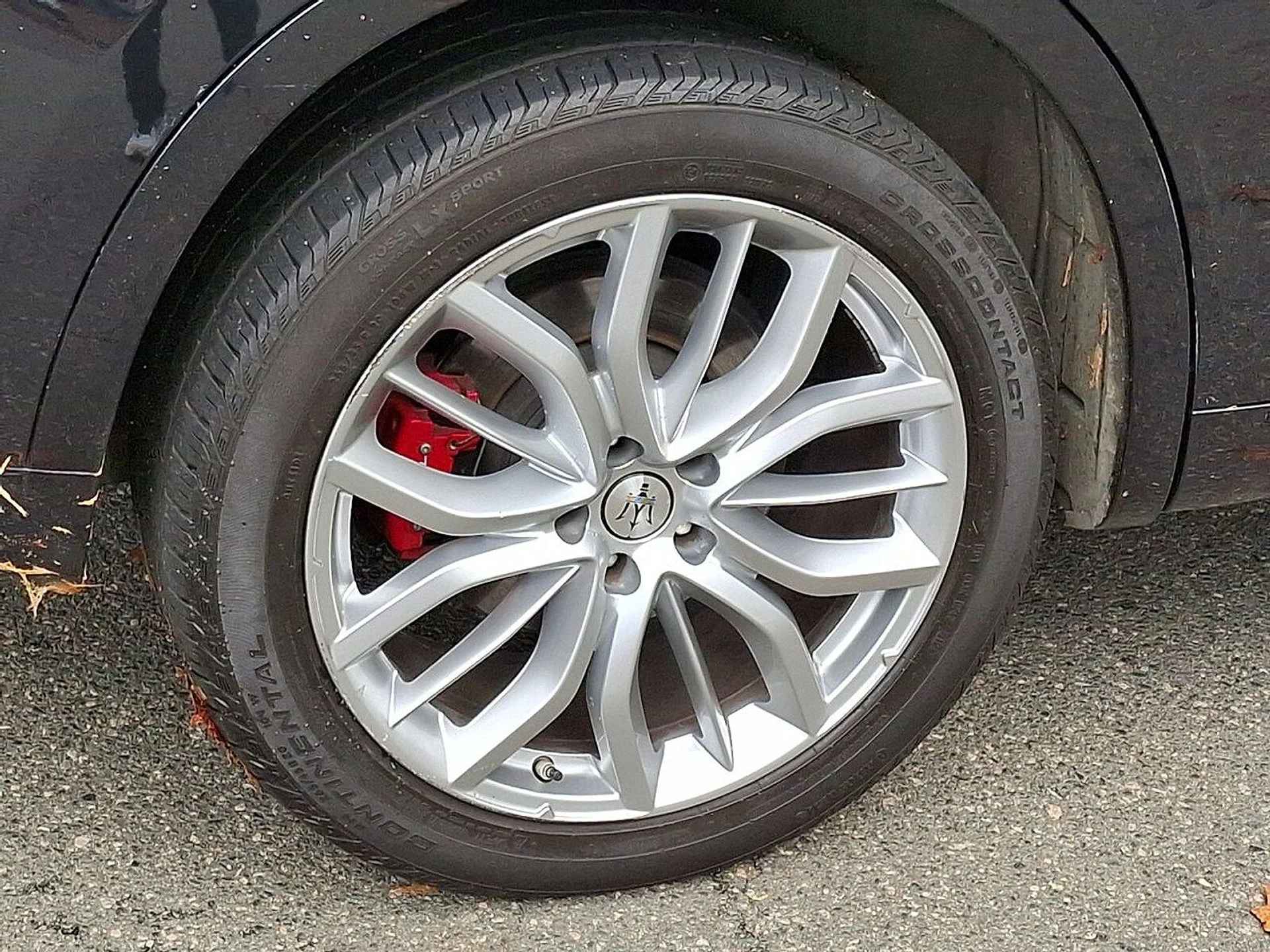 mph026_1349495617_3e94d7a5e7a3a792bad7e45de8544417x_6ee1edfe77