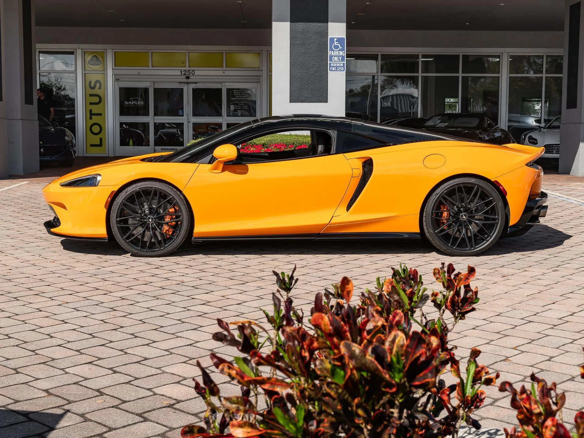 mph026_1377168895_Used_2022_Mc_Laren_GT_1773176947_5387c88441