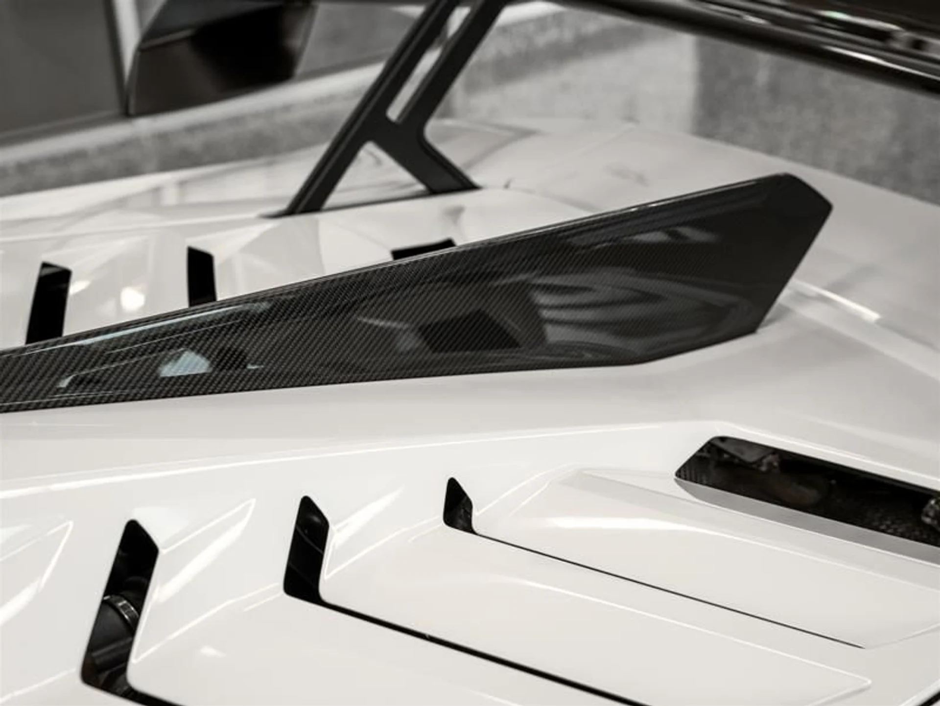 mph026_159581643_t5gjf4nt_3a3a5f426b