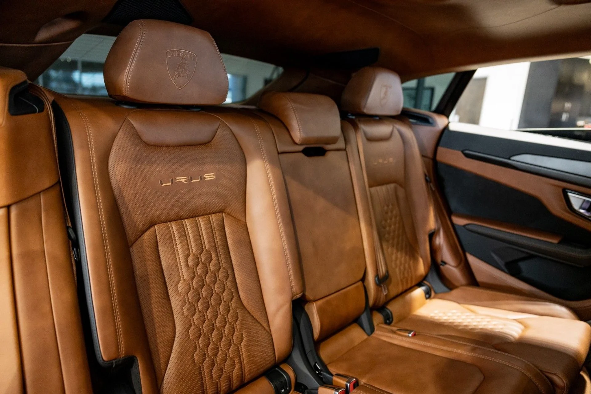 mph026_1861610446_Bg_ad7b409282