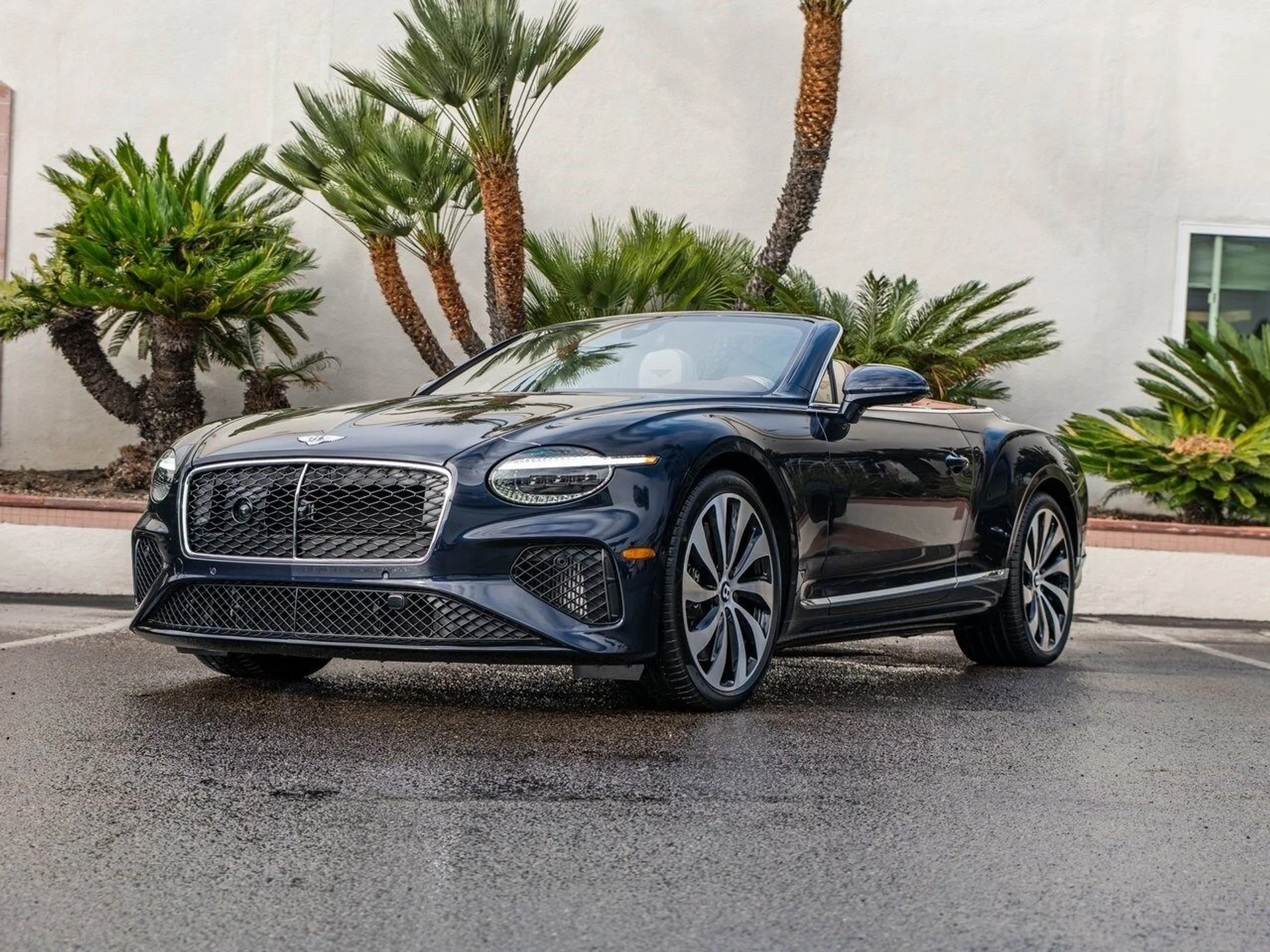 mph026_1861811228_d3153449185643778e09e0aadfd3de71x_49b29353cc