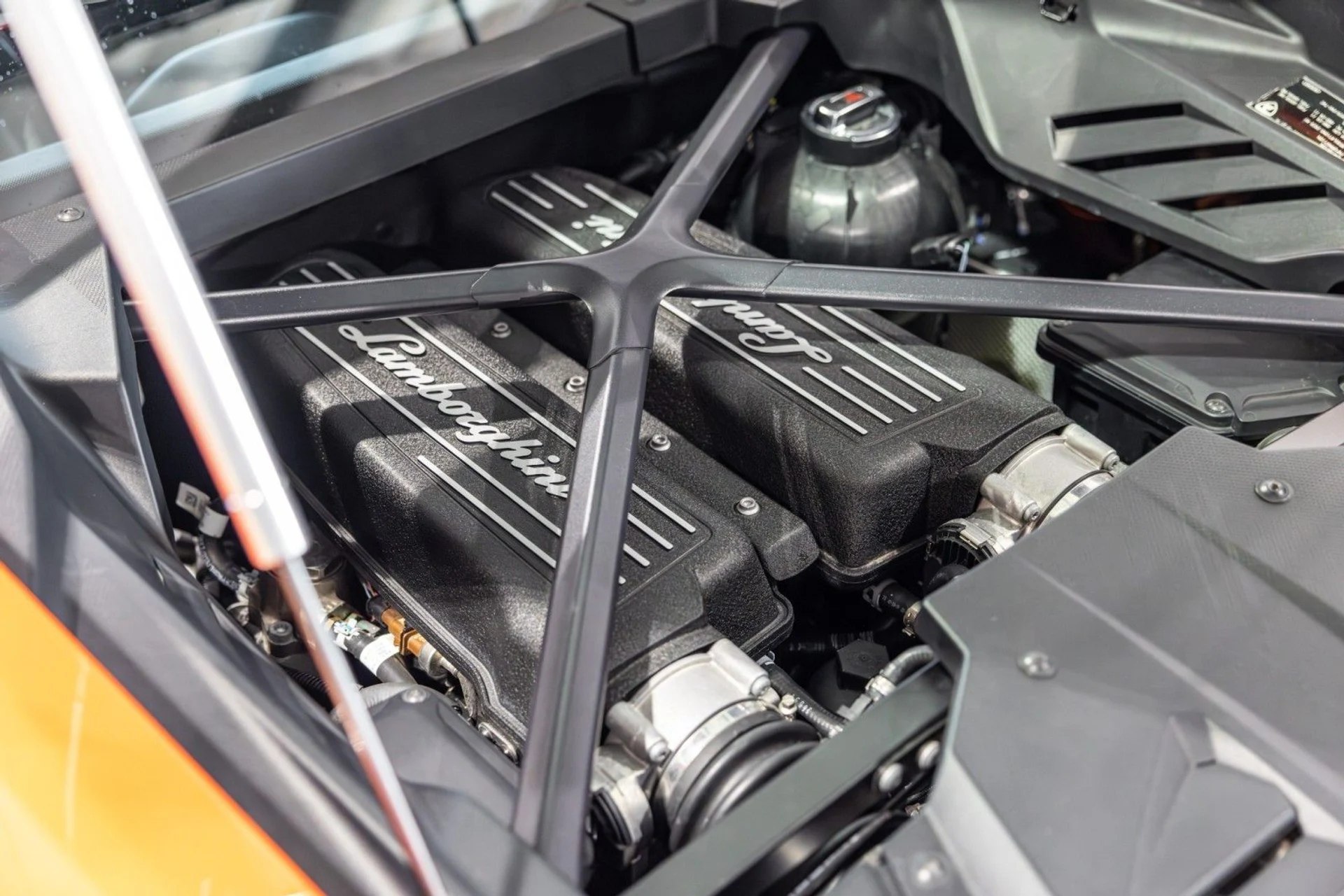 mph026_2153513710_6w_7793ba4863