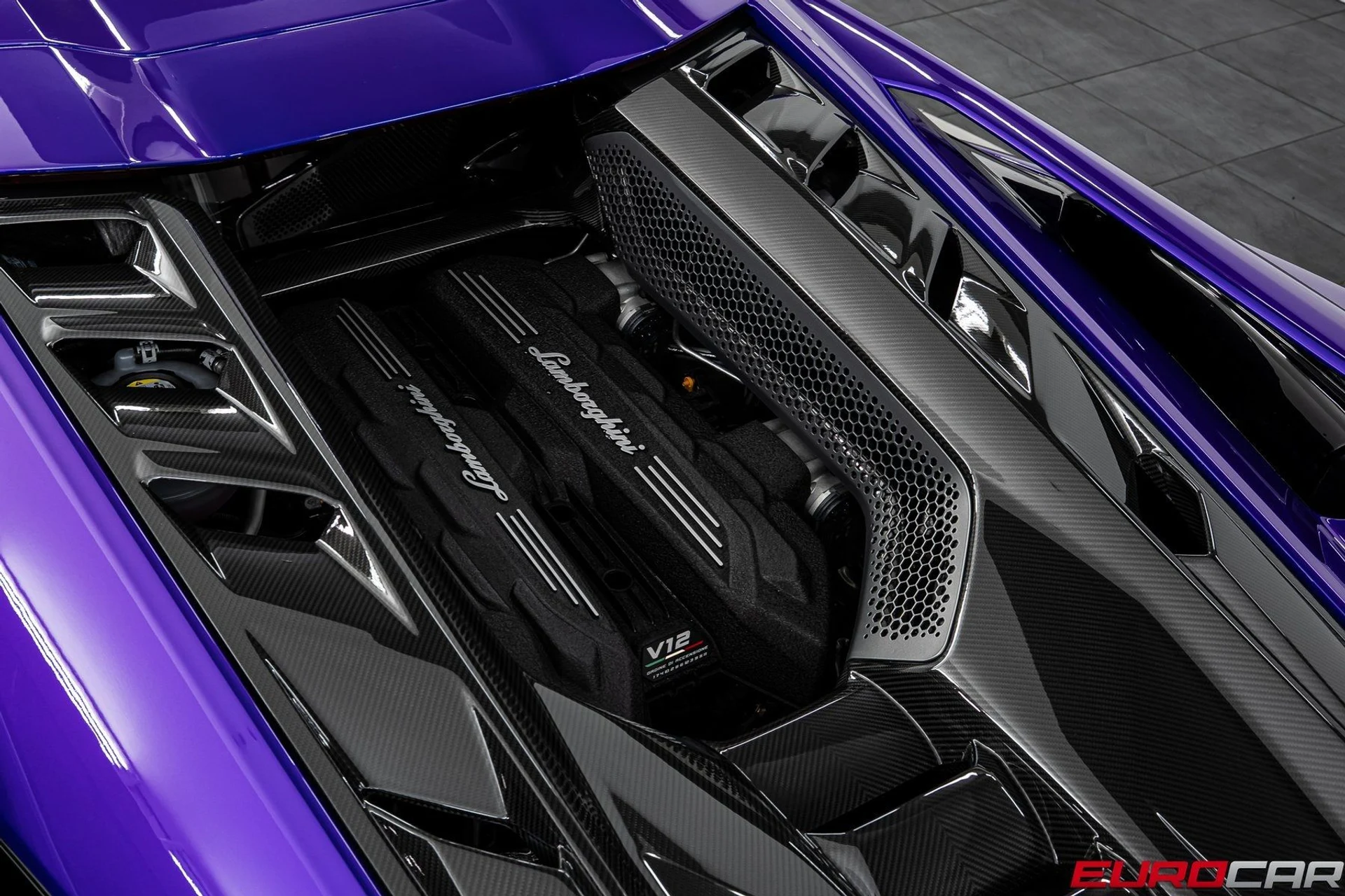 mph026_2335558385_image_27_d0c19a8a01