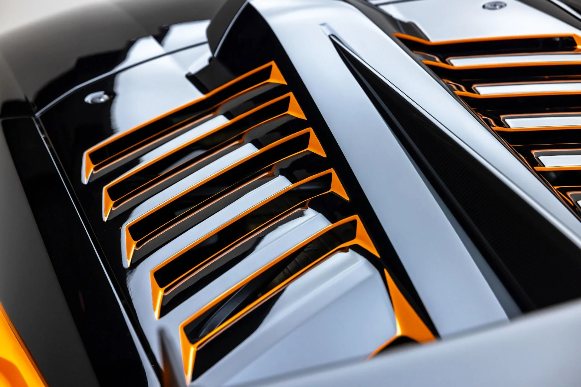 mph026_2385214213_13165_p27_l_dcc124daf6