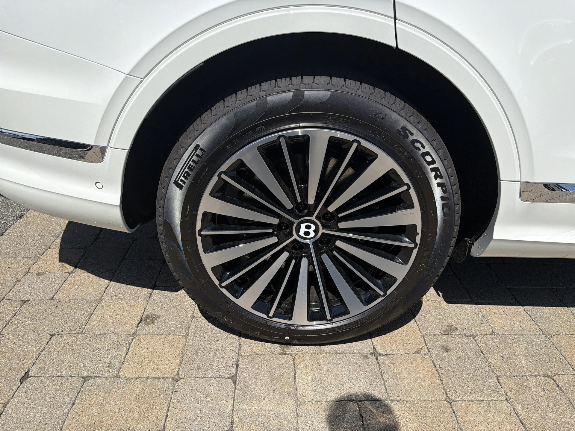 mph026_2491810081_aee54908ce4f0d32d3267e7ae0ce4b99x_550c31fe76