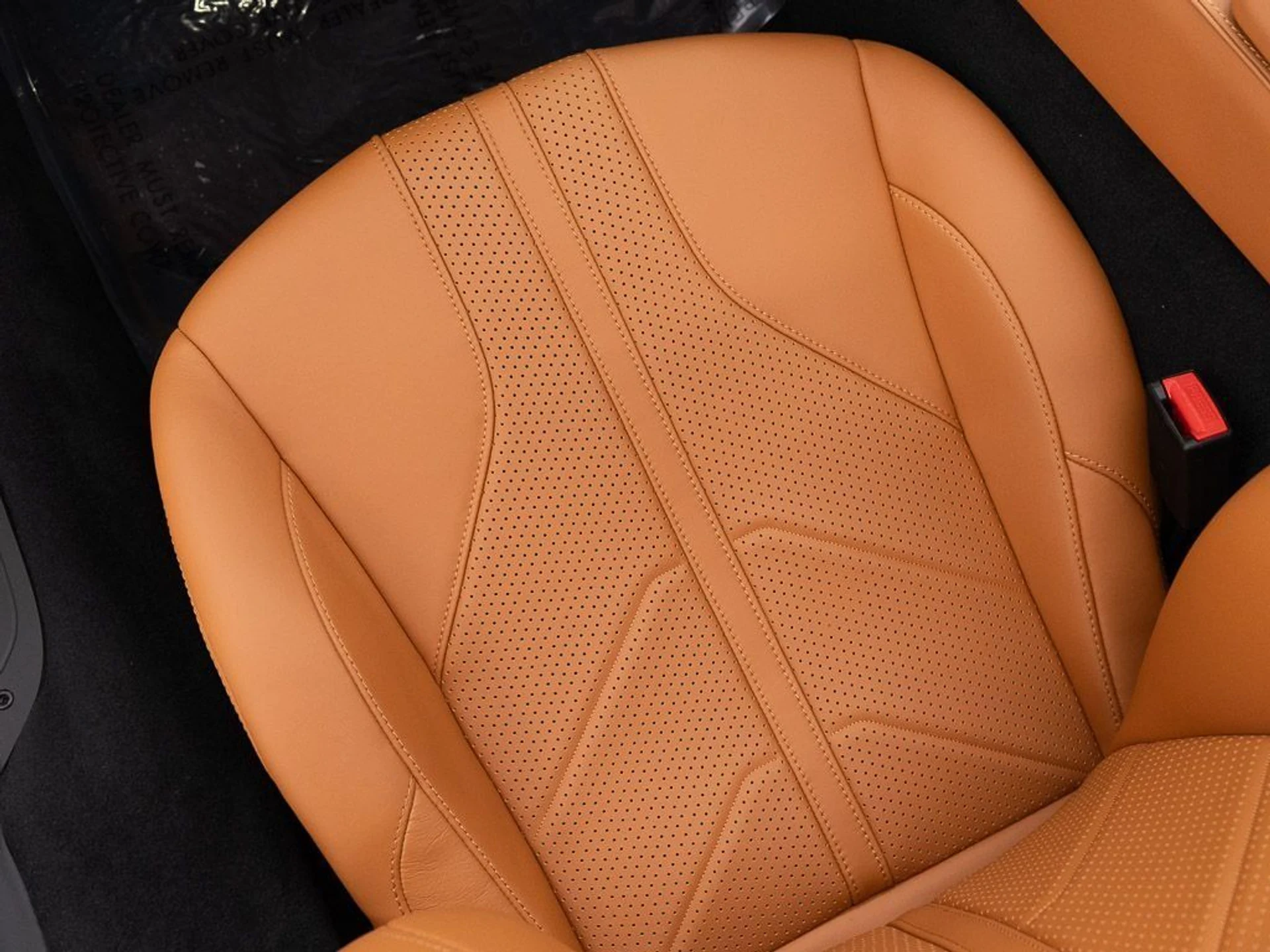 mph026_2561570896_12575812cf4c99bb3fd7d46e1788b7f0_9617503bce