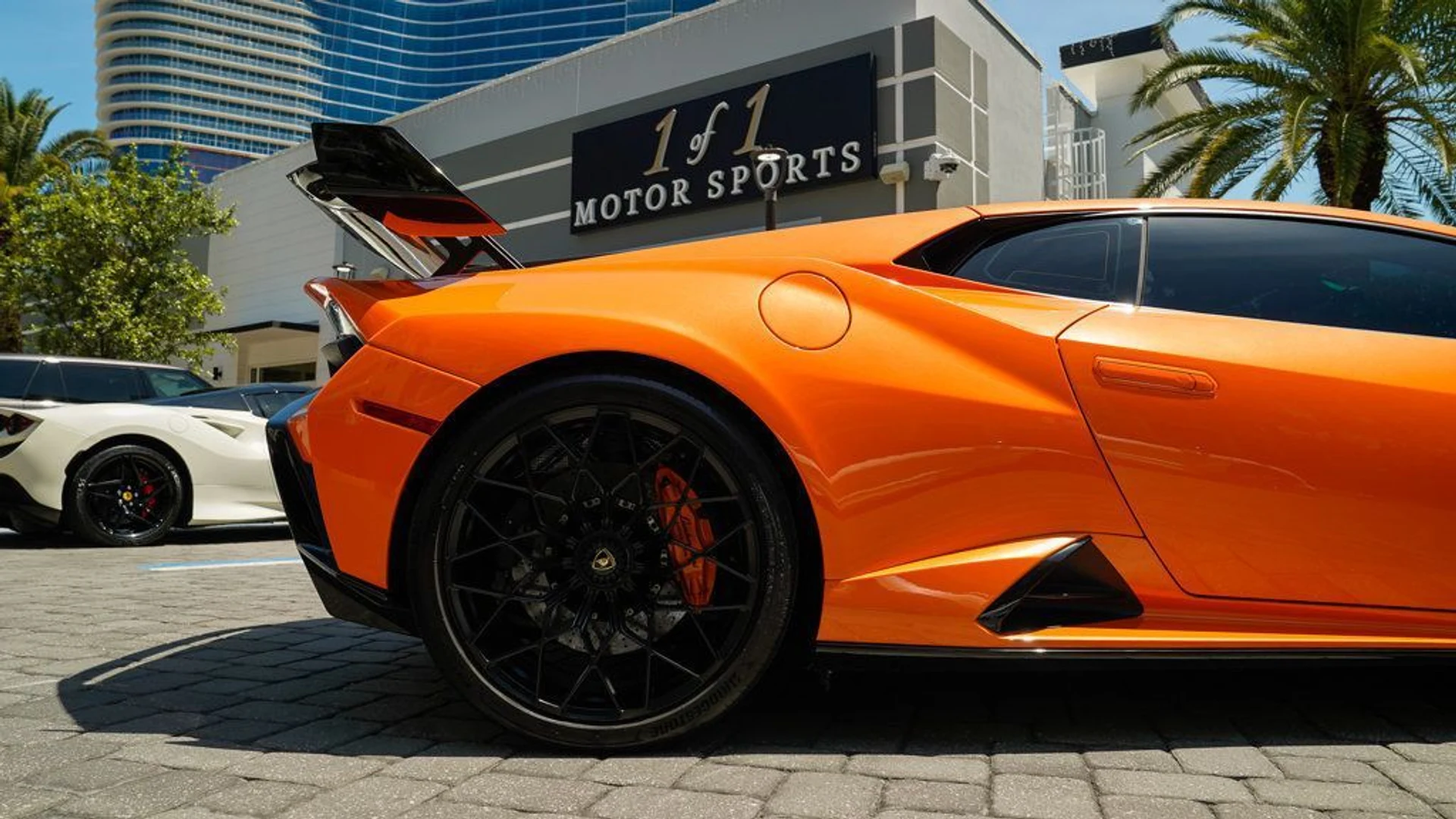 mph026_2767771863_22835943_27_1024_be5cd36611