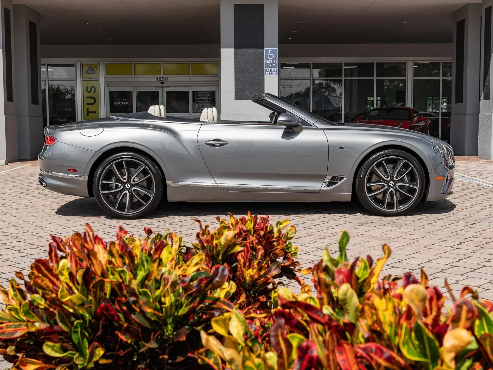 mph026_2848362907_Used_2020_Bentley_Continental_GTC_GT_1756498125_ca6d1ade44