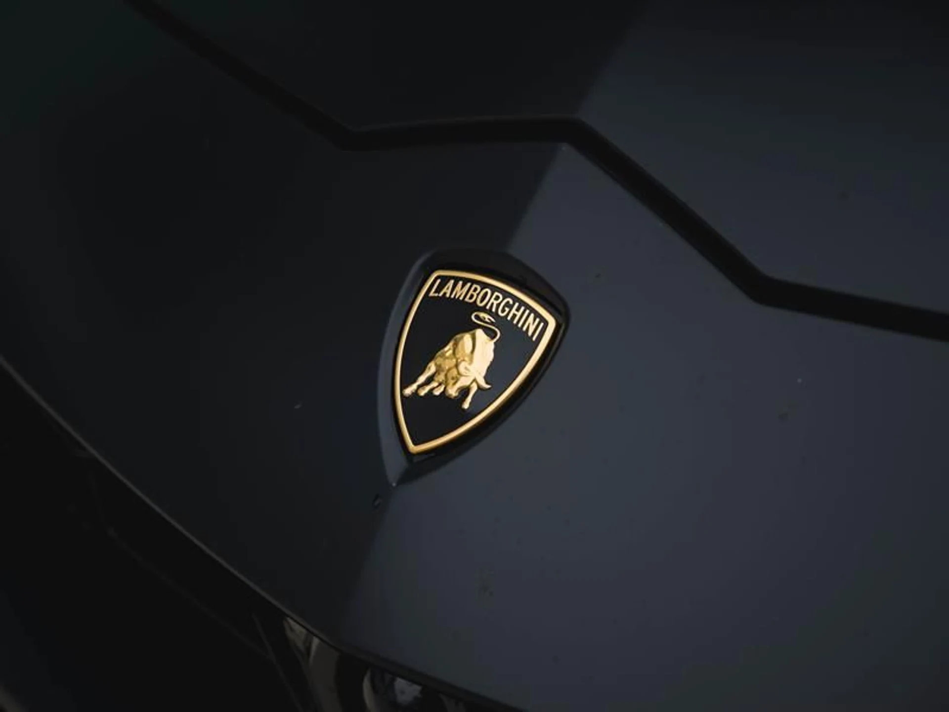 mph026_2974001520_45w4pkf4_ae34391eee