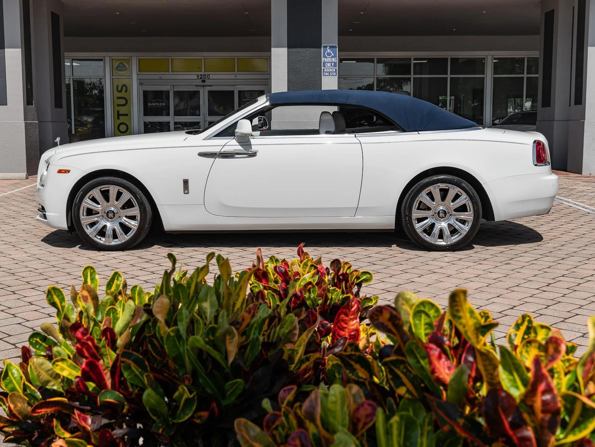 mph026_3054191622_Used_2016_Rolls_Royce_Dawn_2dr_Convertible_1782414110_e603160ebc