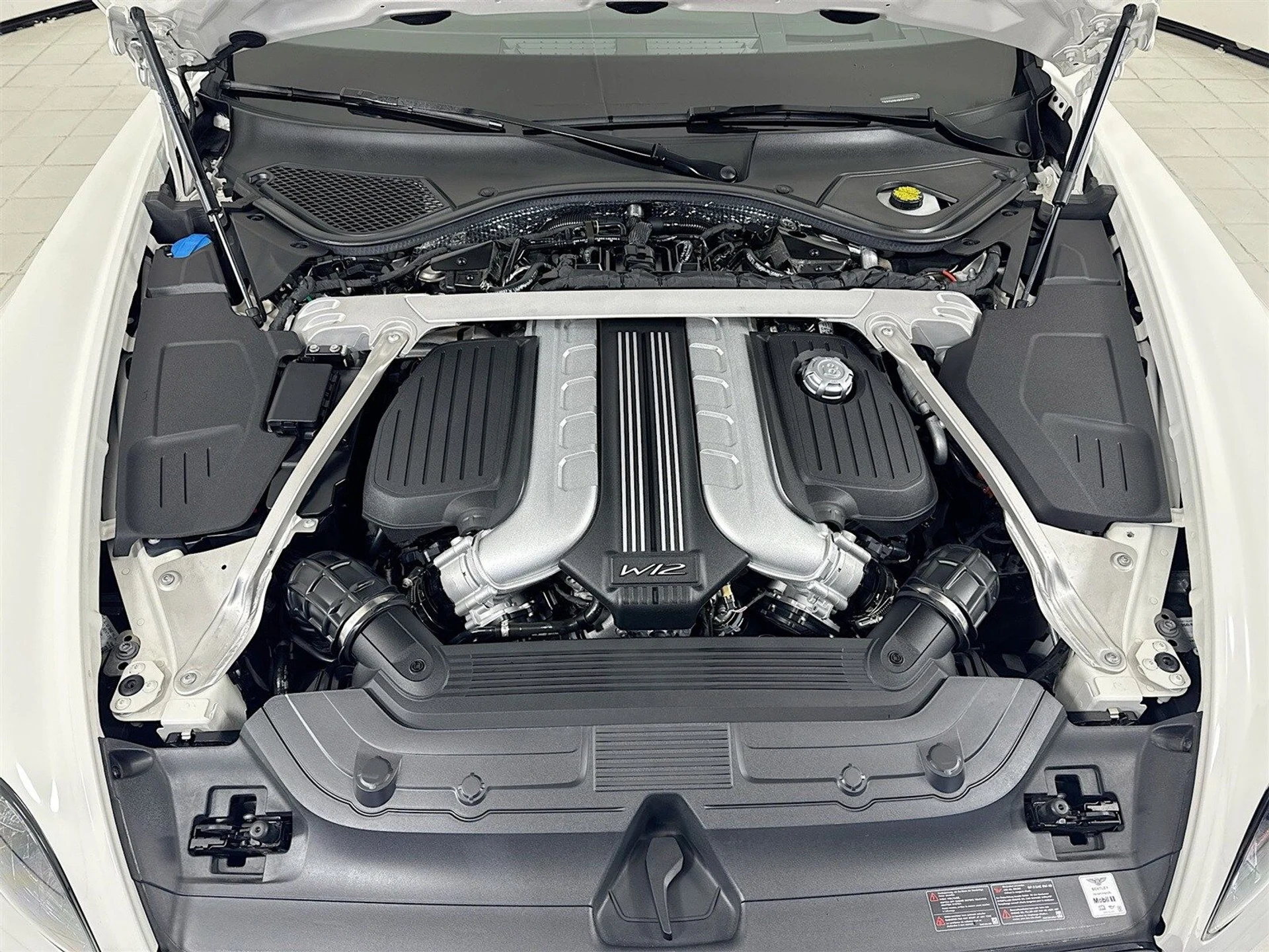 mph026_3124881279_73b491e2b0a55cd38e199334d9424e28x_07d6e03279