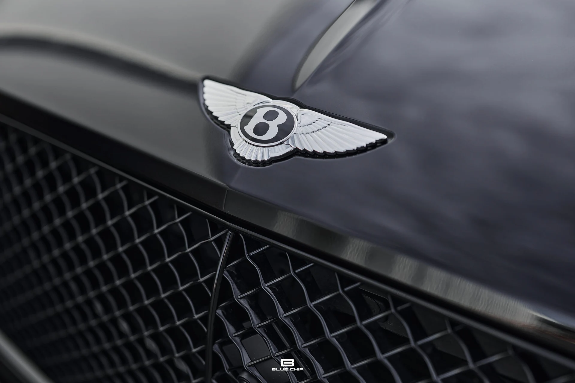 mph026_3292310927_69bb1a3a7e59f56477737903_DSC_7299_aa1de87e64