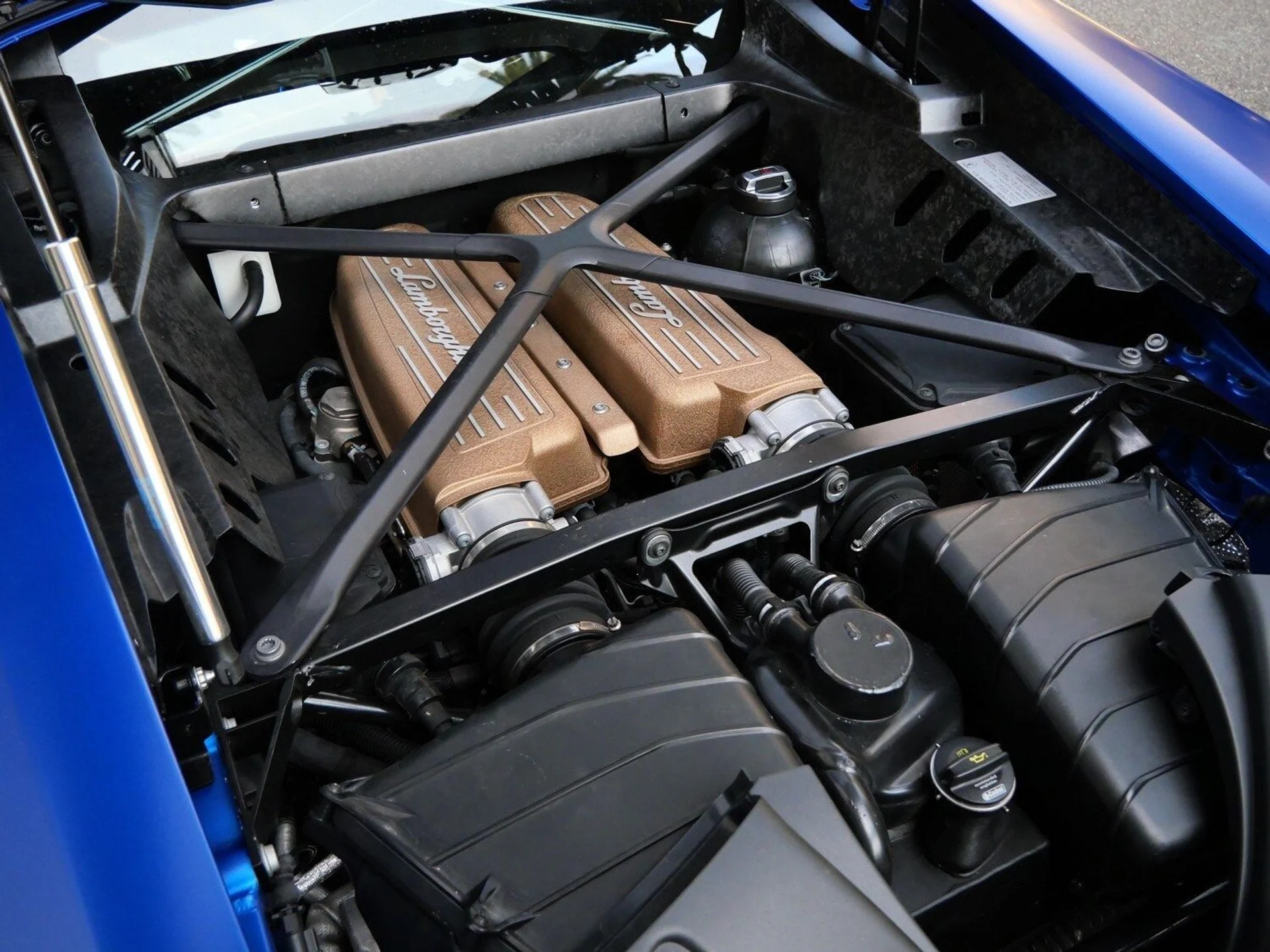 mph026_3331170442_474889cf03cfb57851338d1e65e8f6b3x_fc1ebbb253