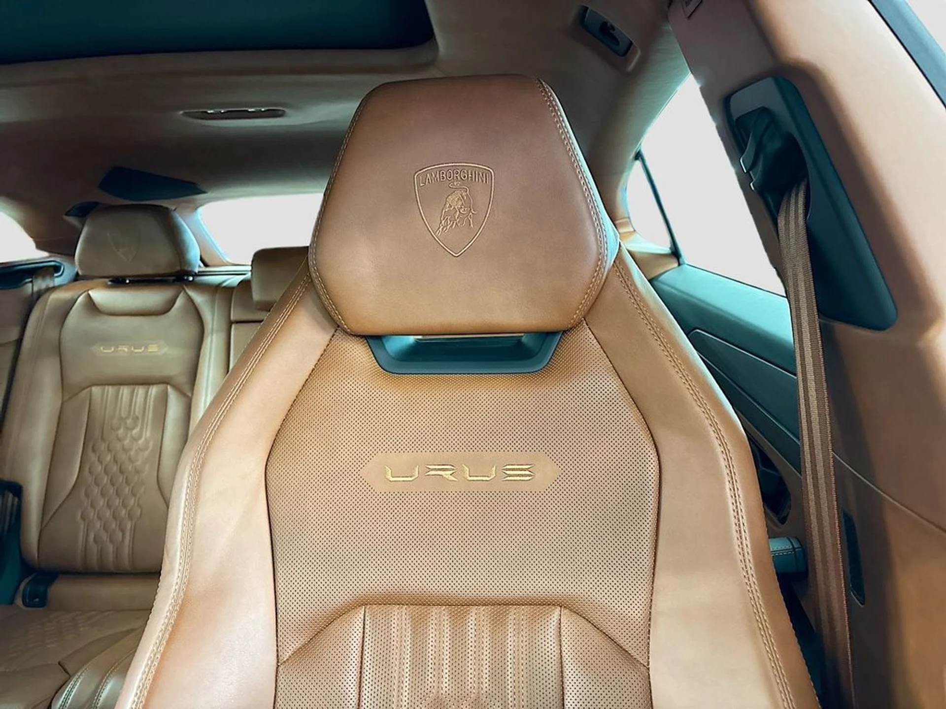 mph026_349060448_c746e5c330734086292263a102e6ca6a_0f577580ff