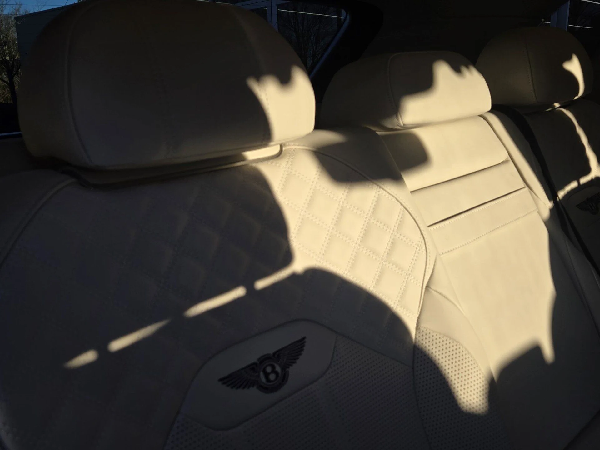 mph026_3503147569_cbc5e5f1f6255794d667729f29730641x_5ceb6741fa