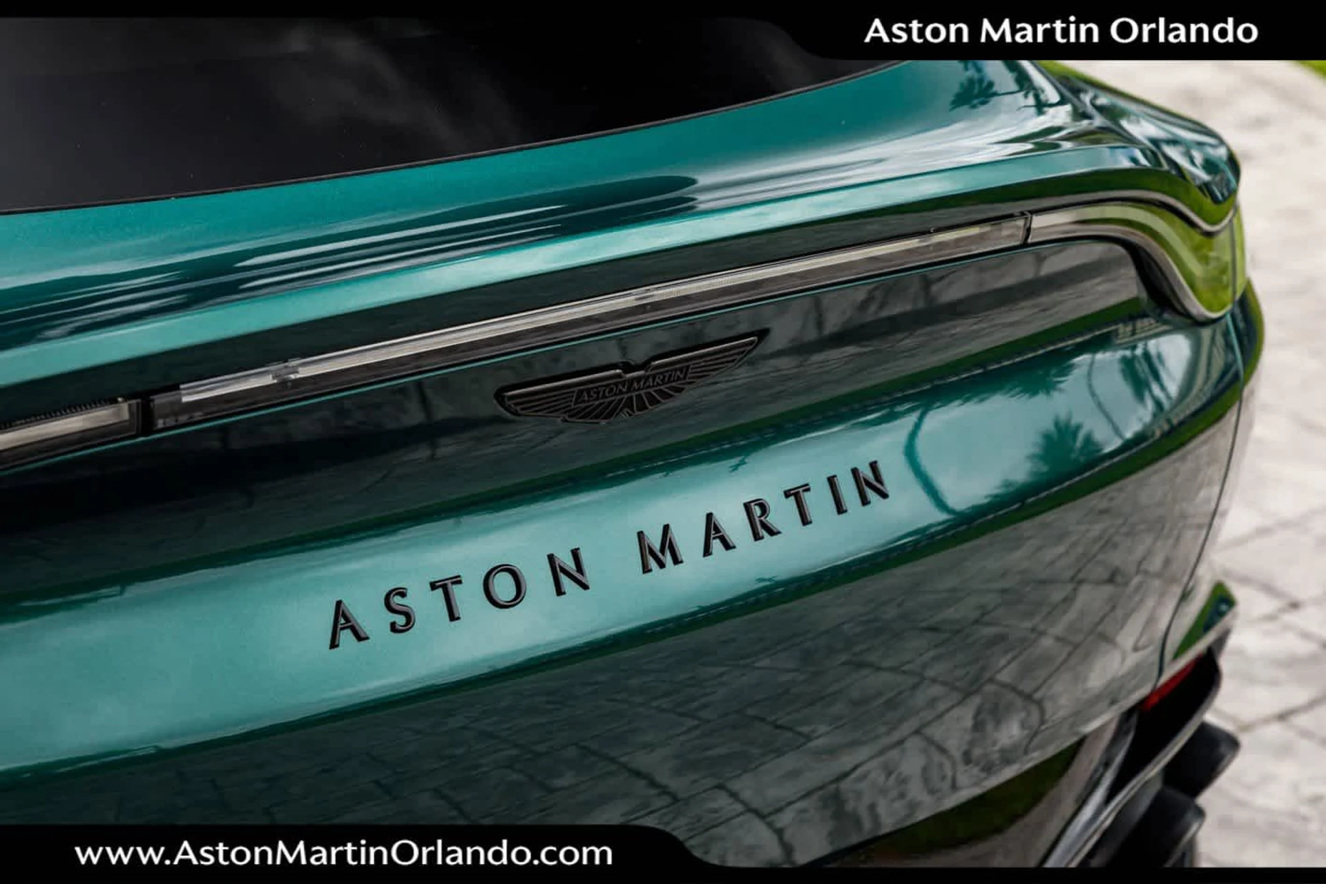 mph026_3520204819_27_93cc560a95