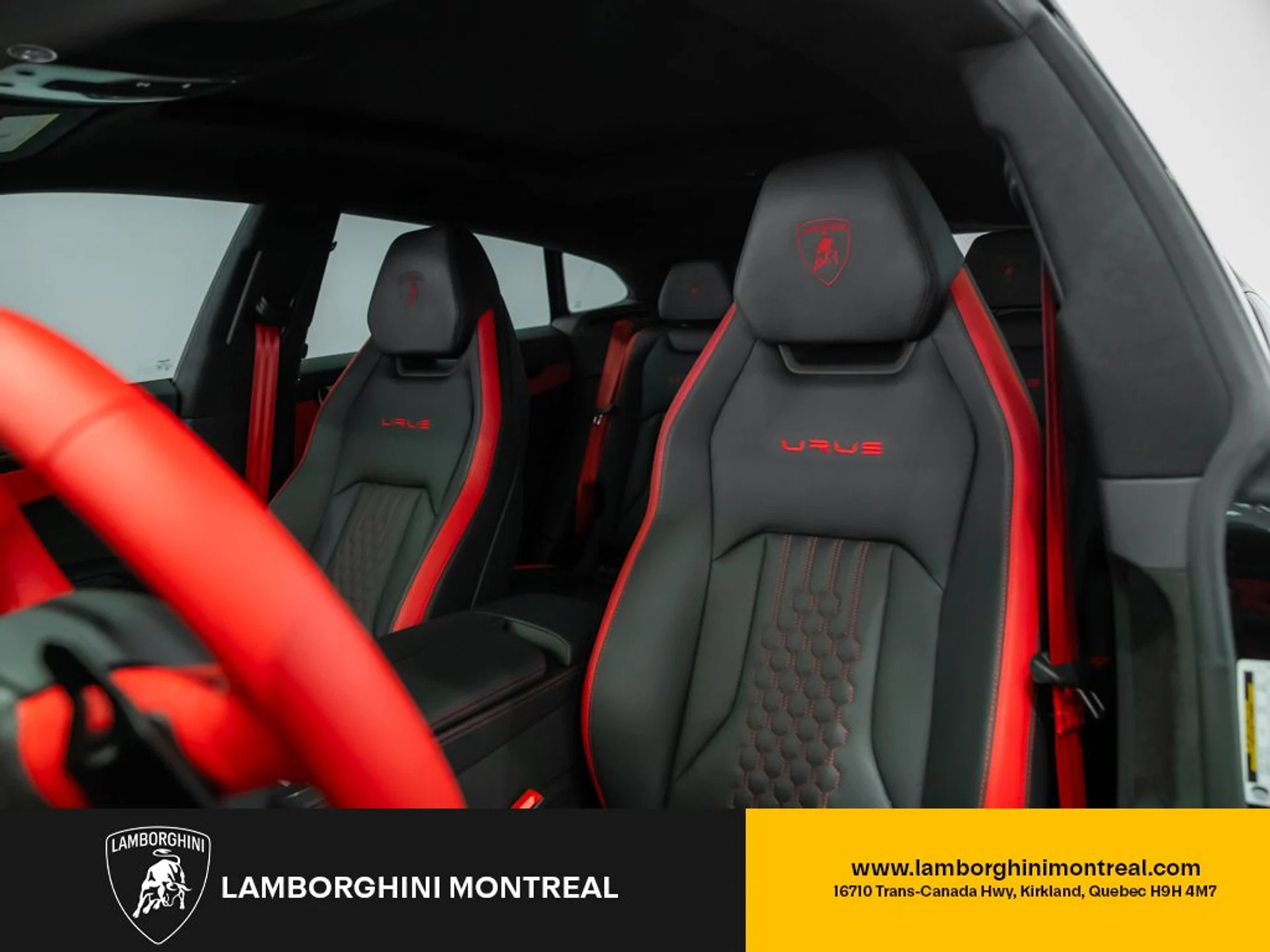 mph026_3617071222_jpg_v_1773863535_6cd89d9e24