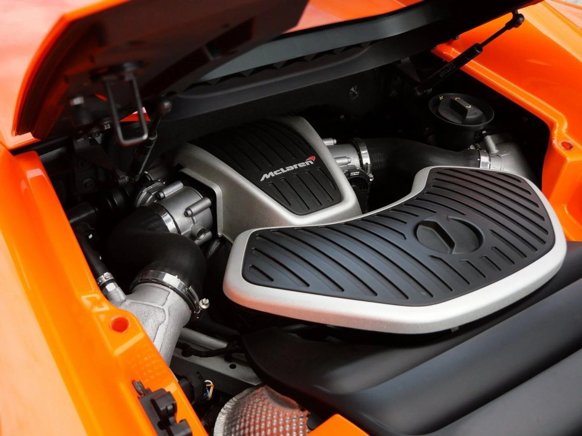 mph026_3632406334_07758c78d701e34c95135f798ed95a39x_8320d2bb75