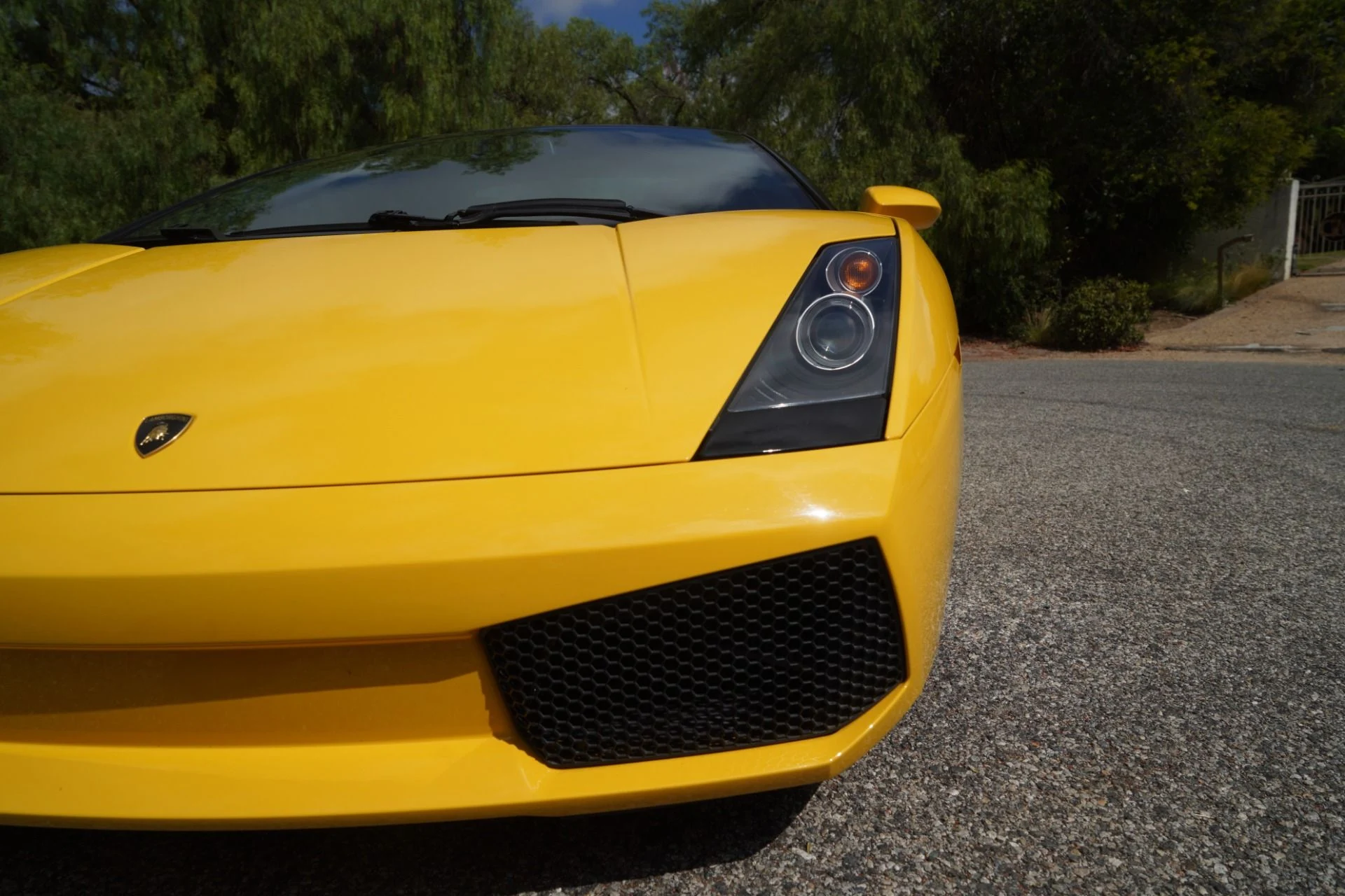 mph026_3710593284_Used_2007_Lamborghini_Gallardo_Spyder_1787166889_234dd08c0c