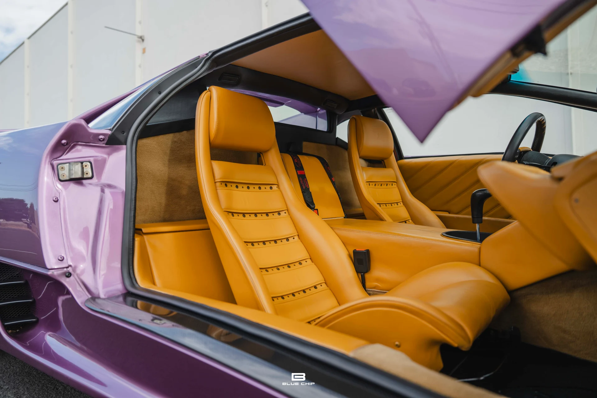 mph026_380182471_68965dc53b3a49c577ccecf4_DSC_02035_664cee7a42