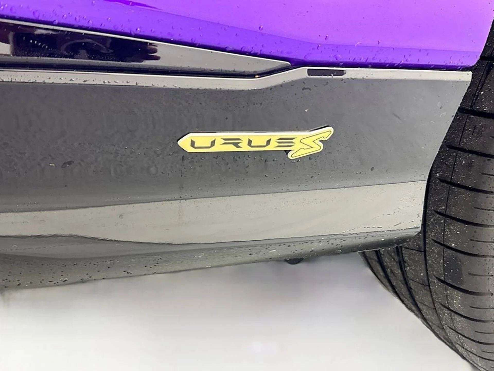 mph026_3819100470_f3548d0e9daaca4a663b17fc7ee7bfbe_650ad15ce7