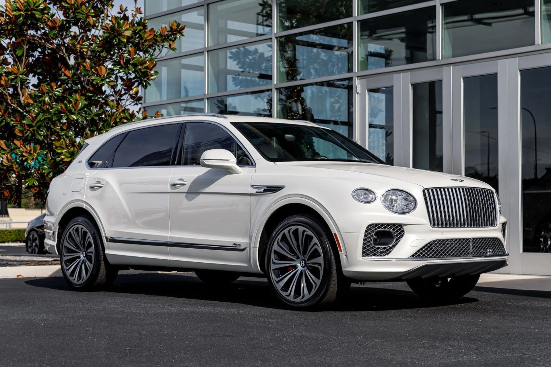 mph026_3875925040_e96a4daf14c9fa1f0cfc563721d0ca57x_e230054815