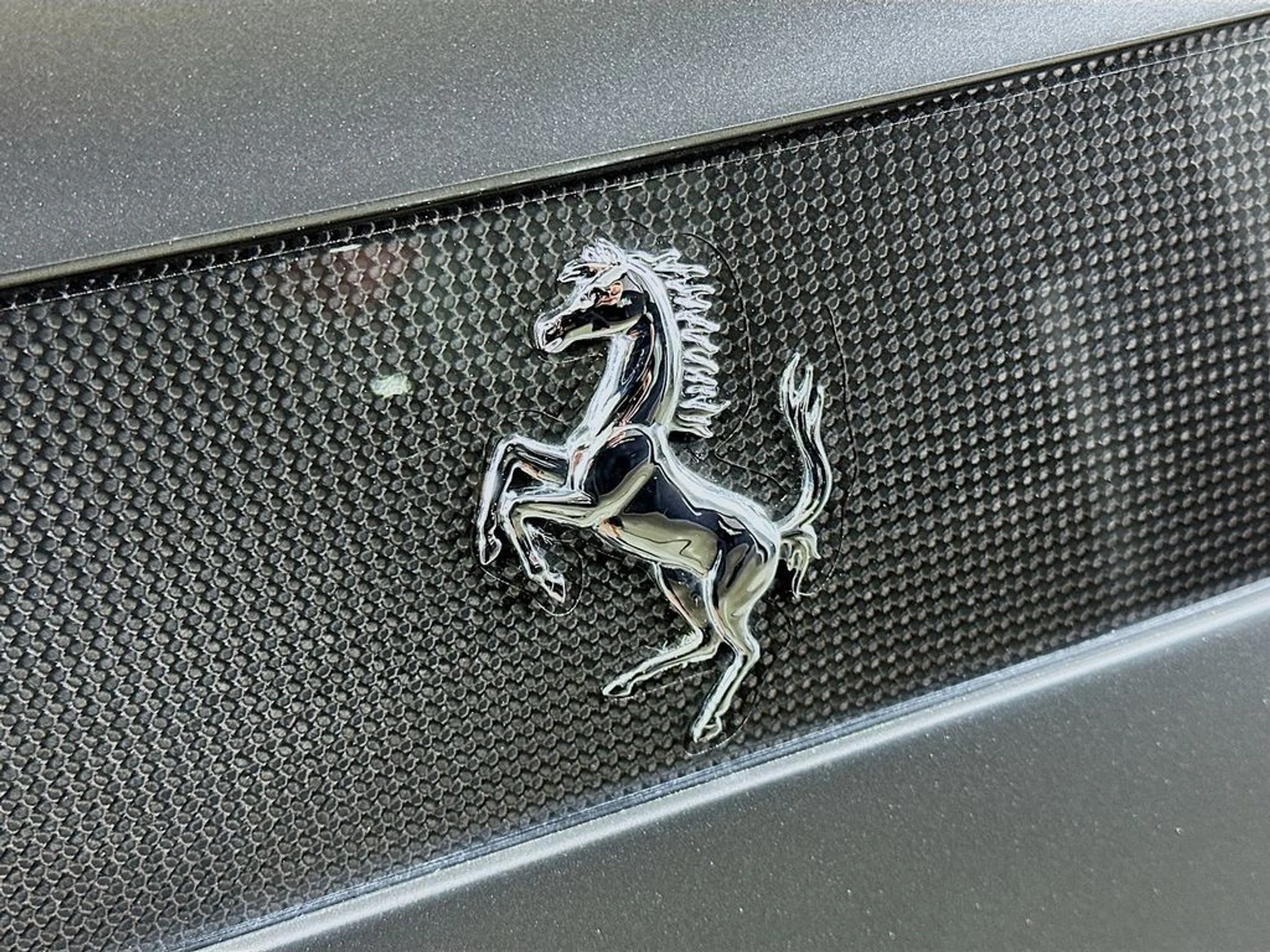 mph026_3975513842_ff7912b564254dce007b09af5c8521abx_16f40bc77f