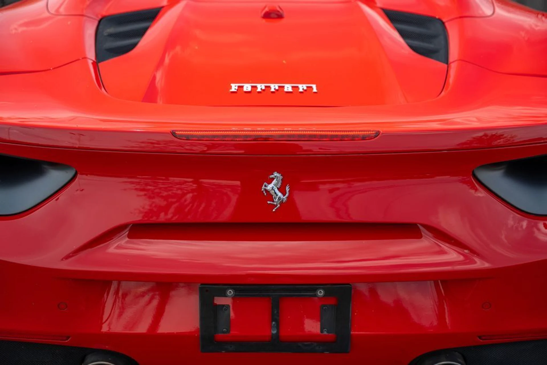 mph026_4092420572_d0a8b8f0_04ec_41da_9a94_1de4ff5ce4c1_01bf69e5c1