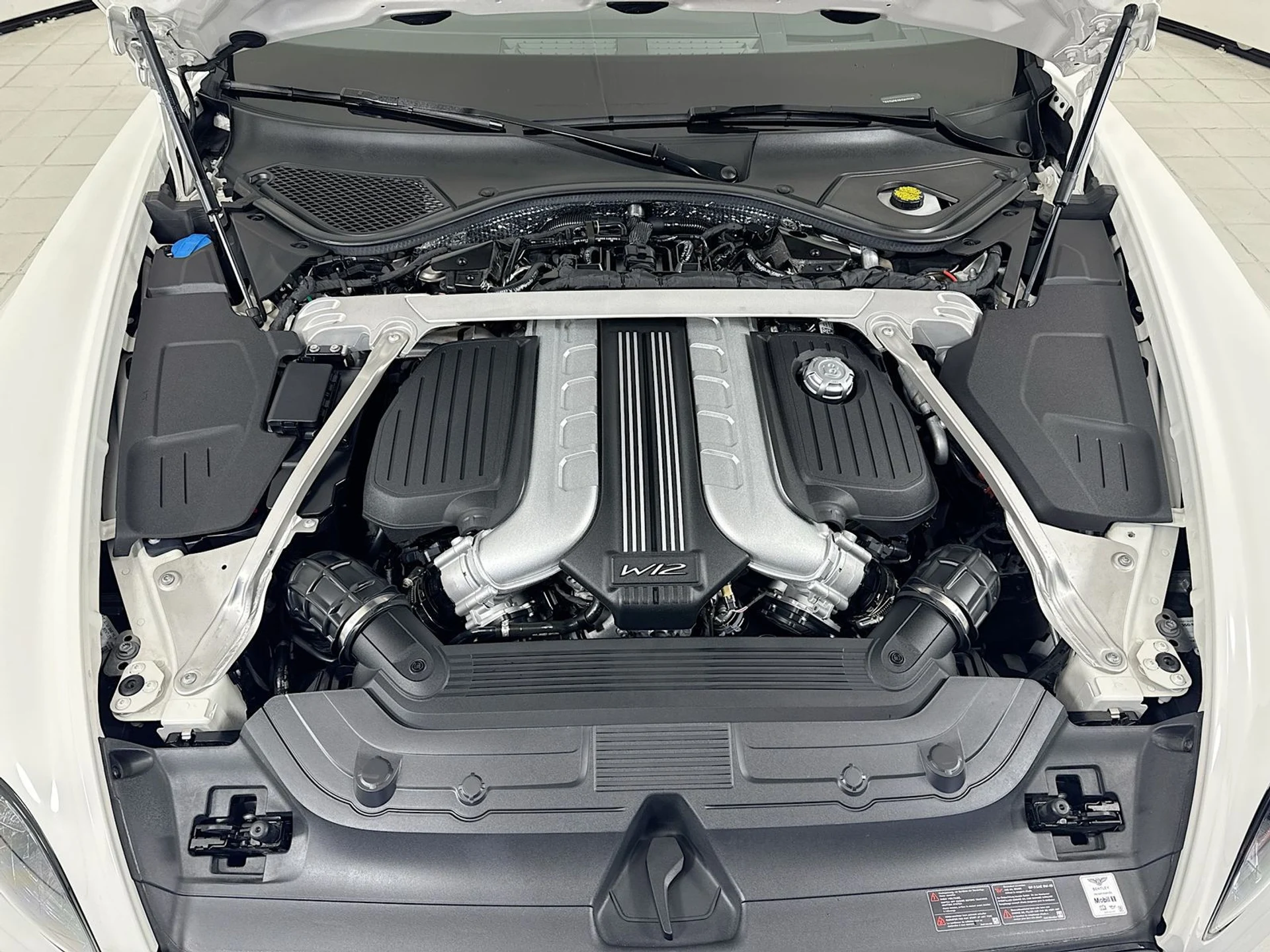 mph026_486659351_1c50d5579a047339f4f5b632c3aaf395x_b559ed9e89