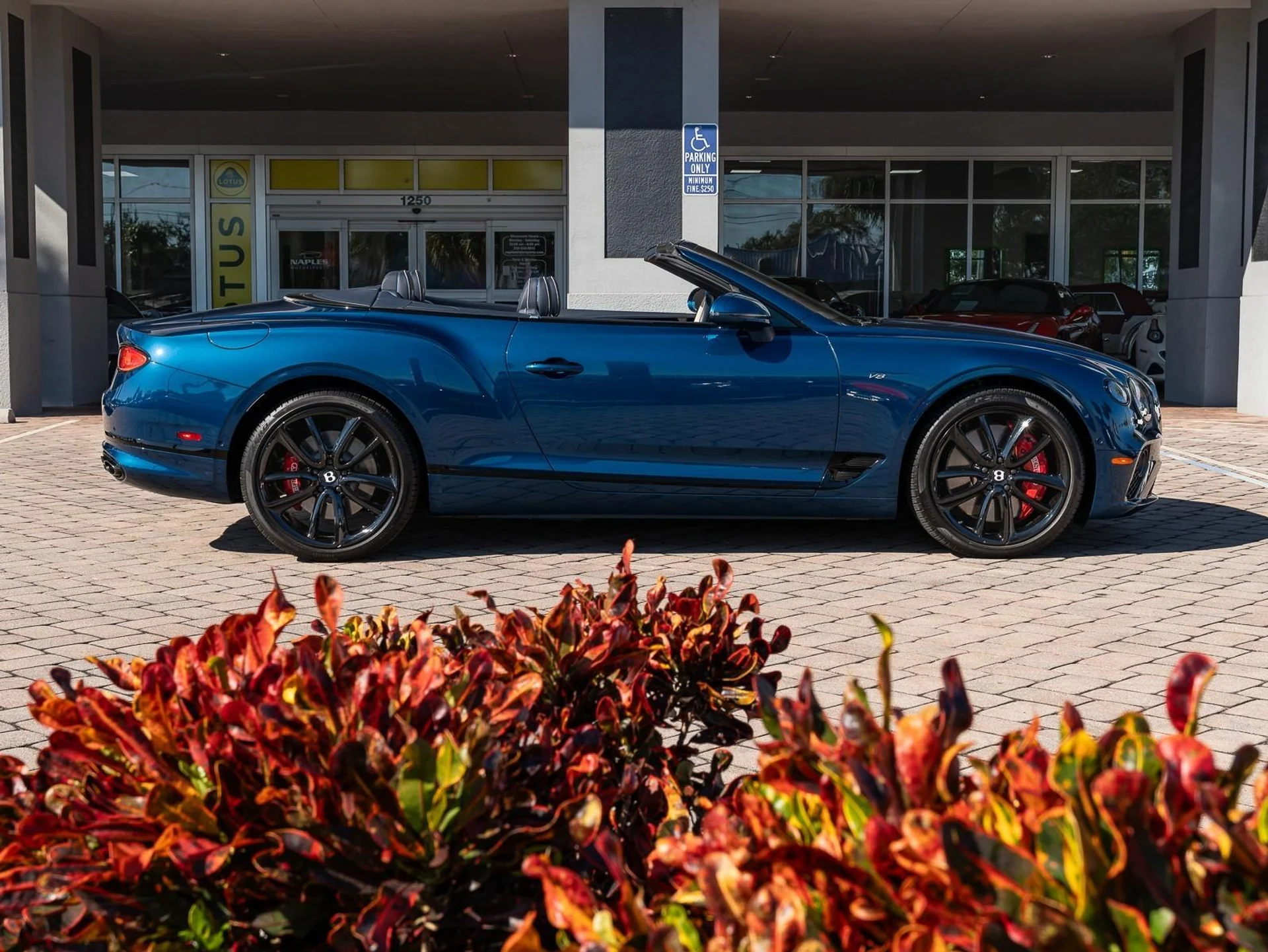 mph026_602280467_Used_2022_Bentley_Continental_GT_V8_1764021986_f2280c2ca9