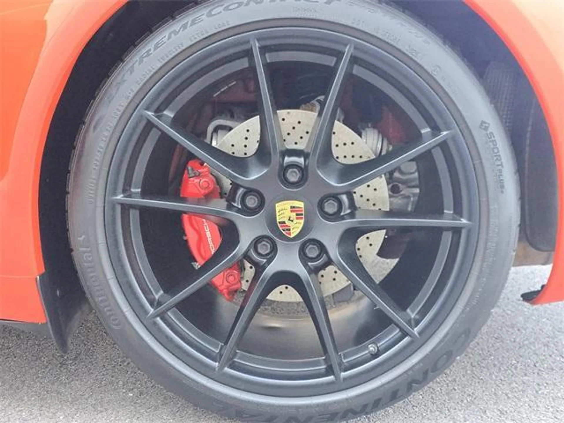 mph026_893615518_X_Mtq_YMI_7co_F_Bk_Fg_Sp_SM_8_Dx_un_OU_39f0f03d31