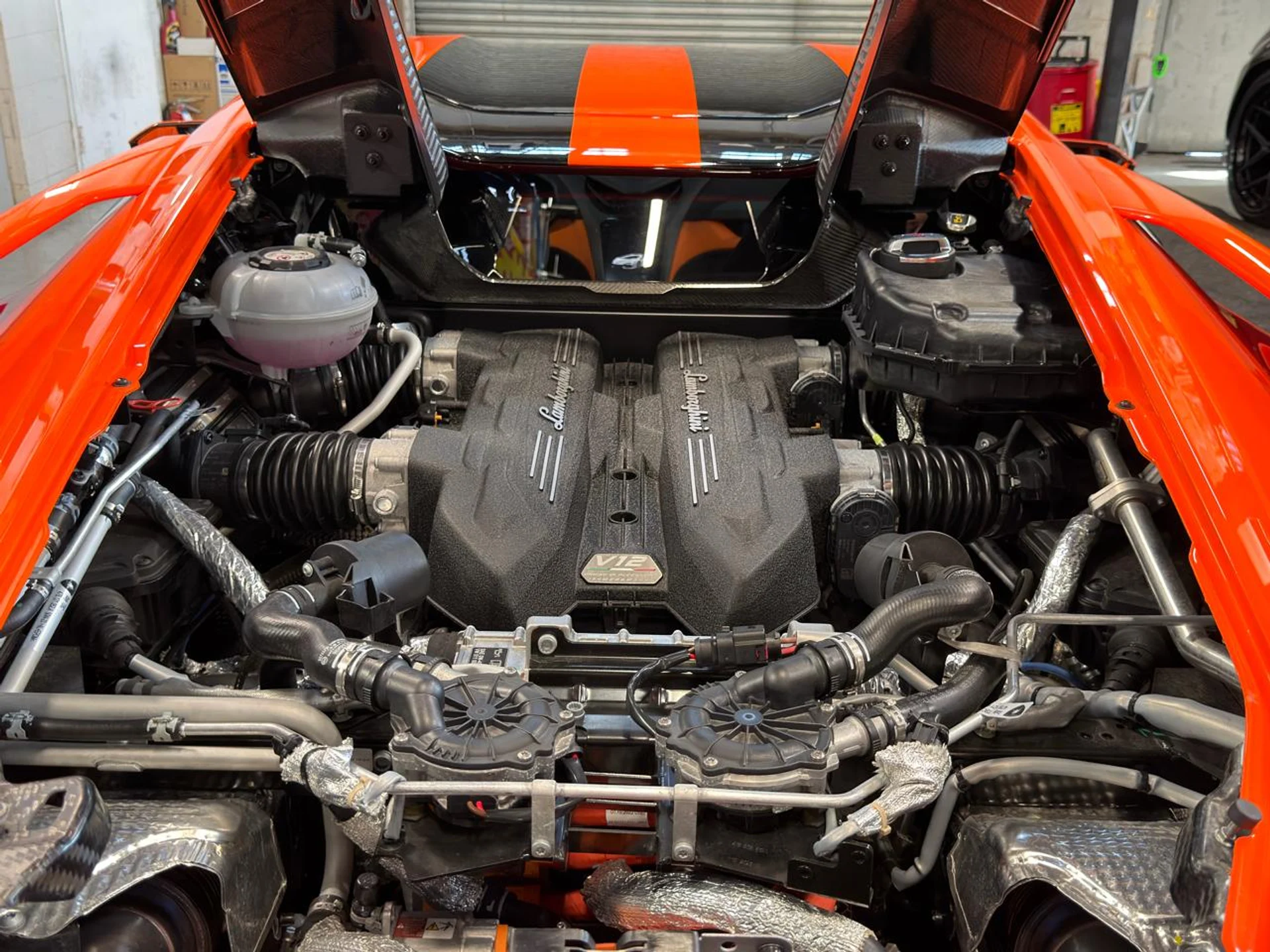 mph027_1042726412_639116972798214506_0ac0fc32e3