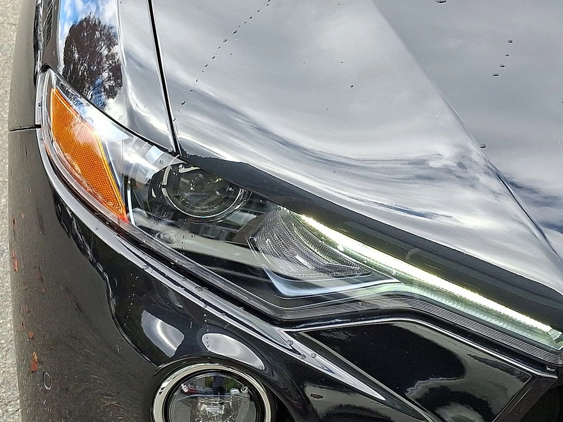 mph027_1242146985_17f50ac5b09e4b3512b333903962f981x_f4163ff708