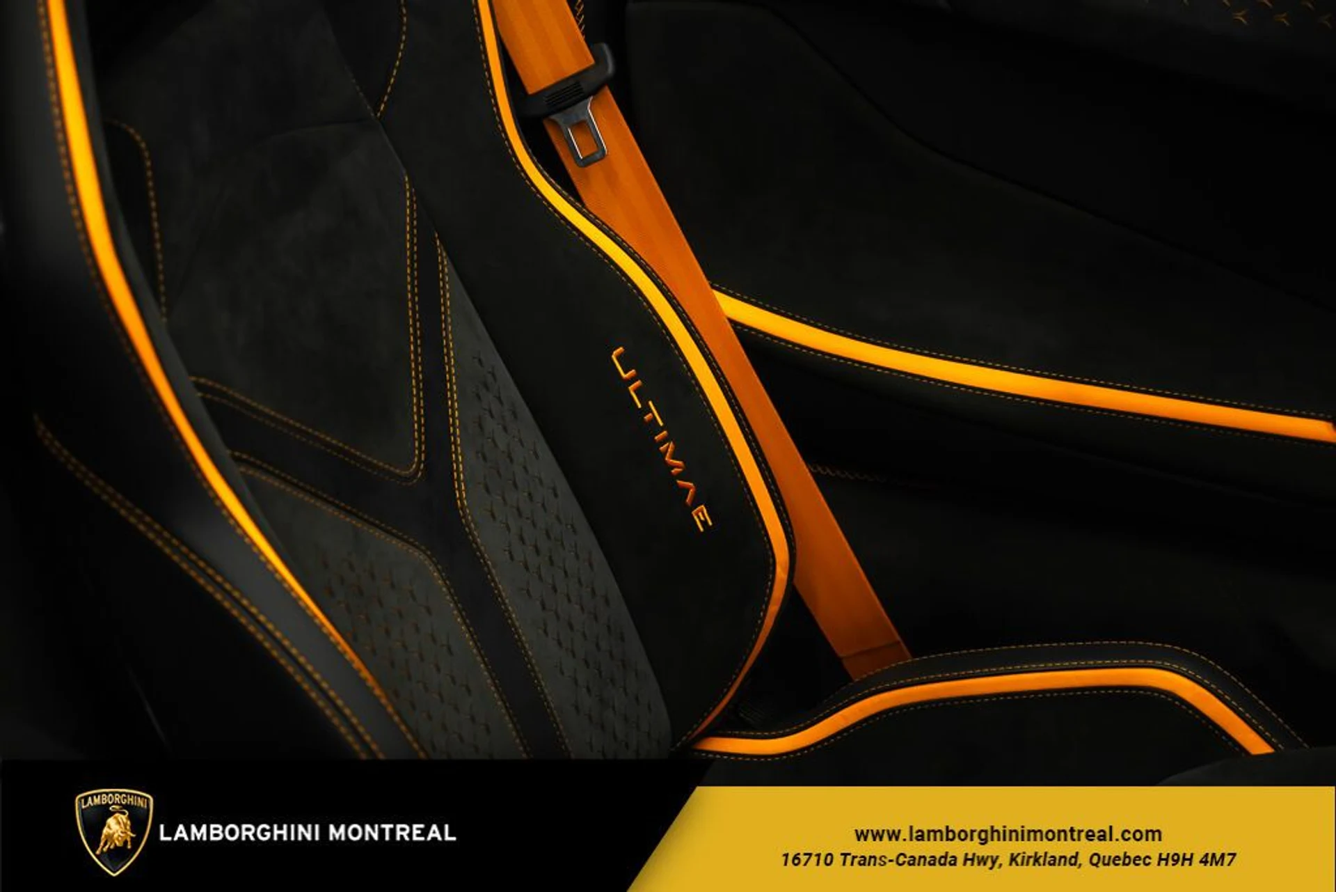 mph027_1609813637_64ef54f20eb216_70240221_jpg_v_1770227440_ad56c4829a