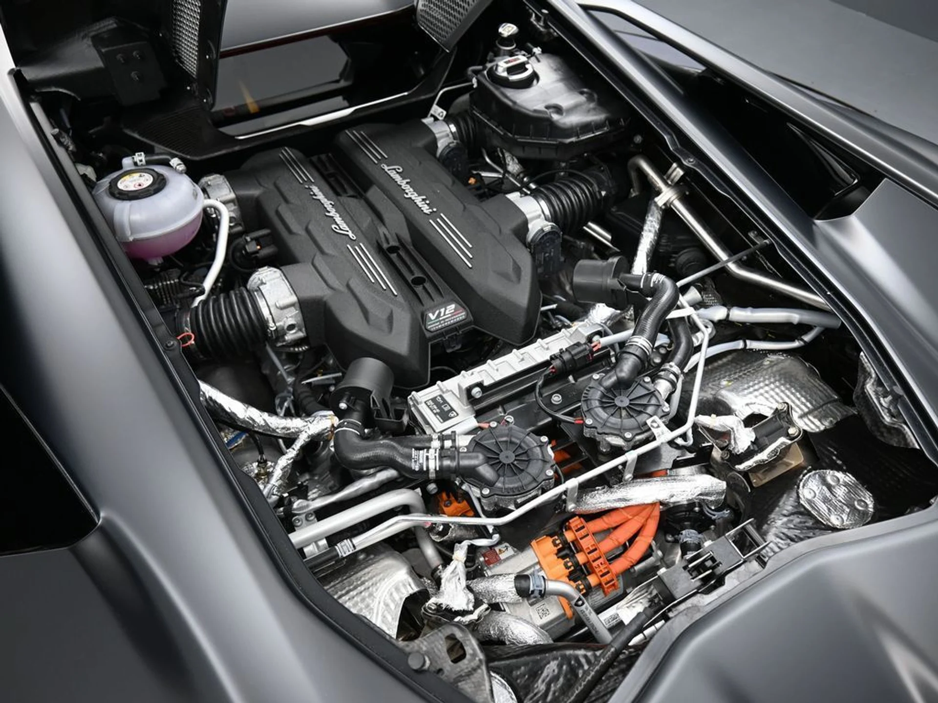 mph027_1714044708_e19133ac_8617_48c6_9d2b_89a0c5d74764_237f821c29