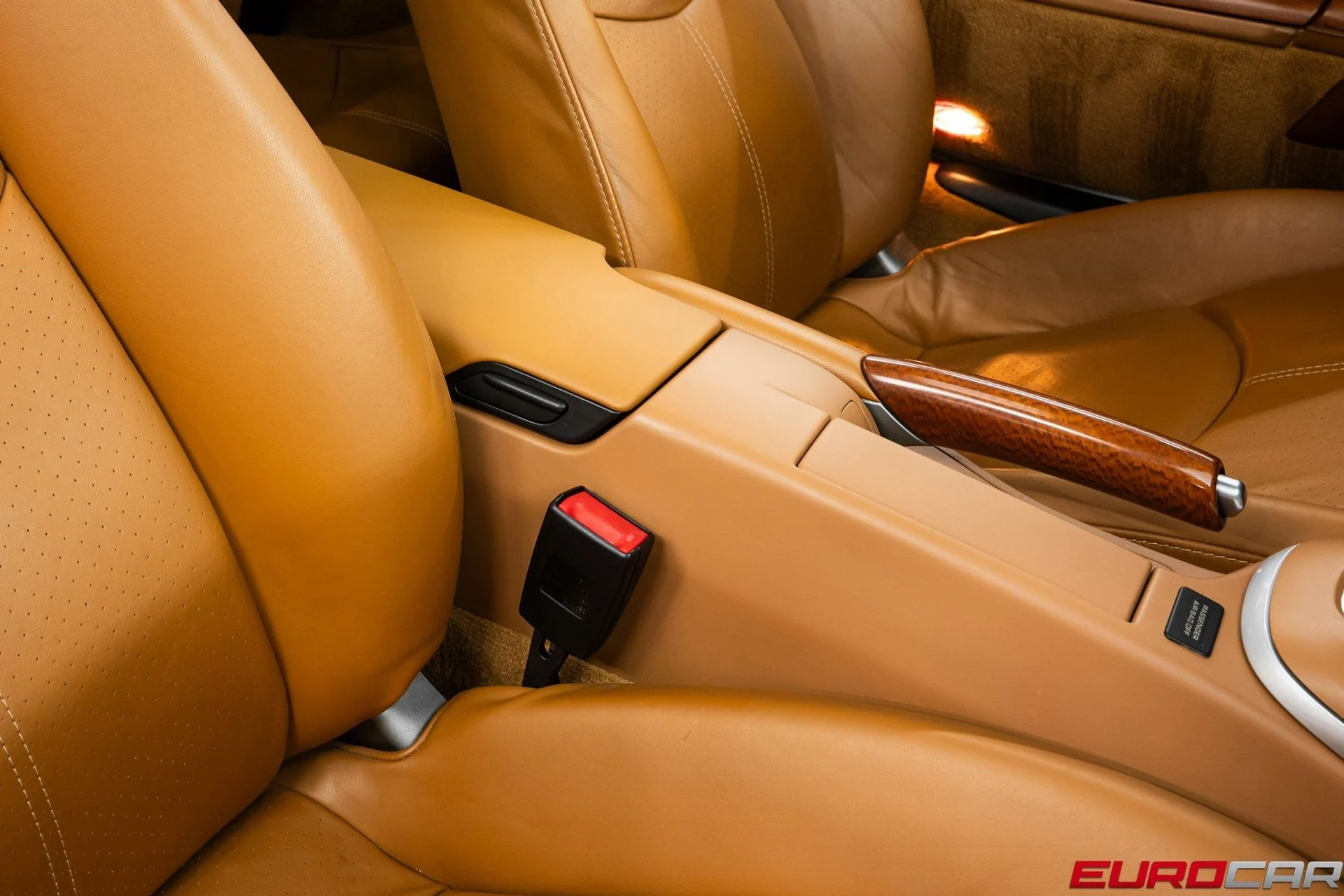 mph027_1771354930_image_28_4146b8900f