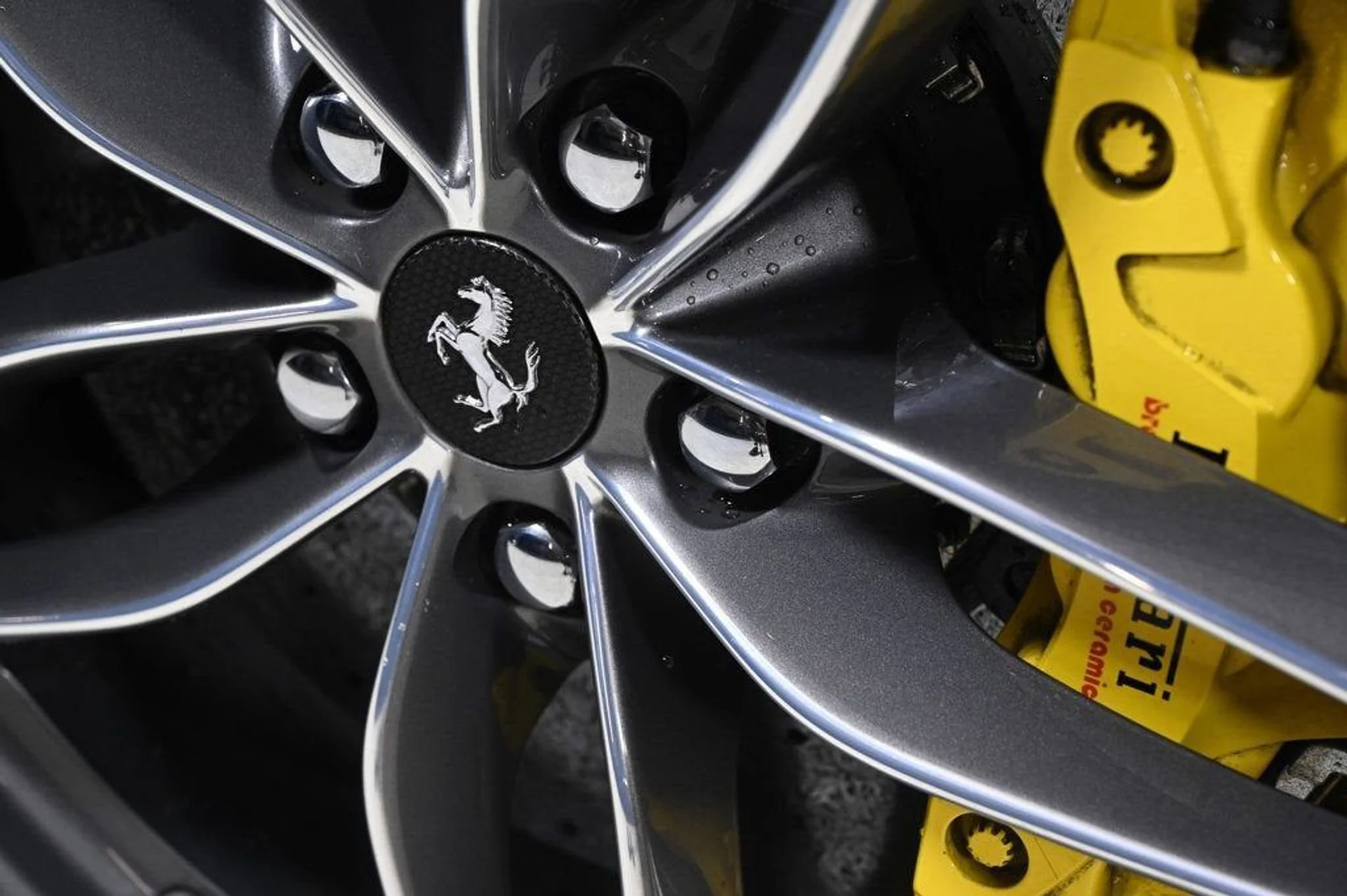 mph027_2030063413_724d749ab93447f2a95ea5bea5afae40_22be40793c