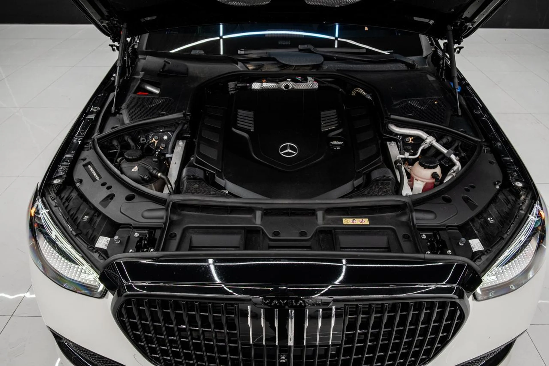 mph027_2288467456_55cf9b6e5746bc00c9f3a5905247687f_784bb1c686