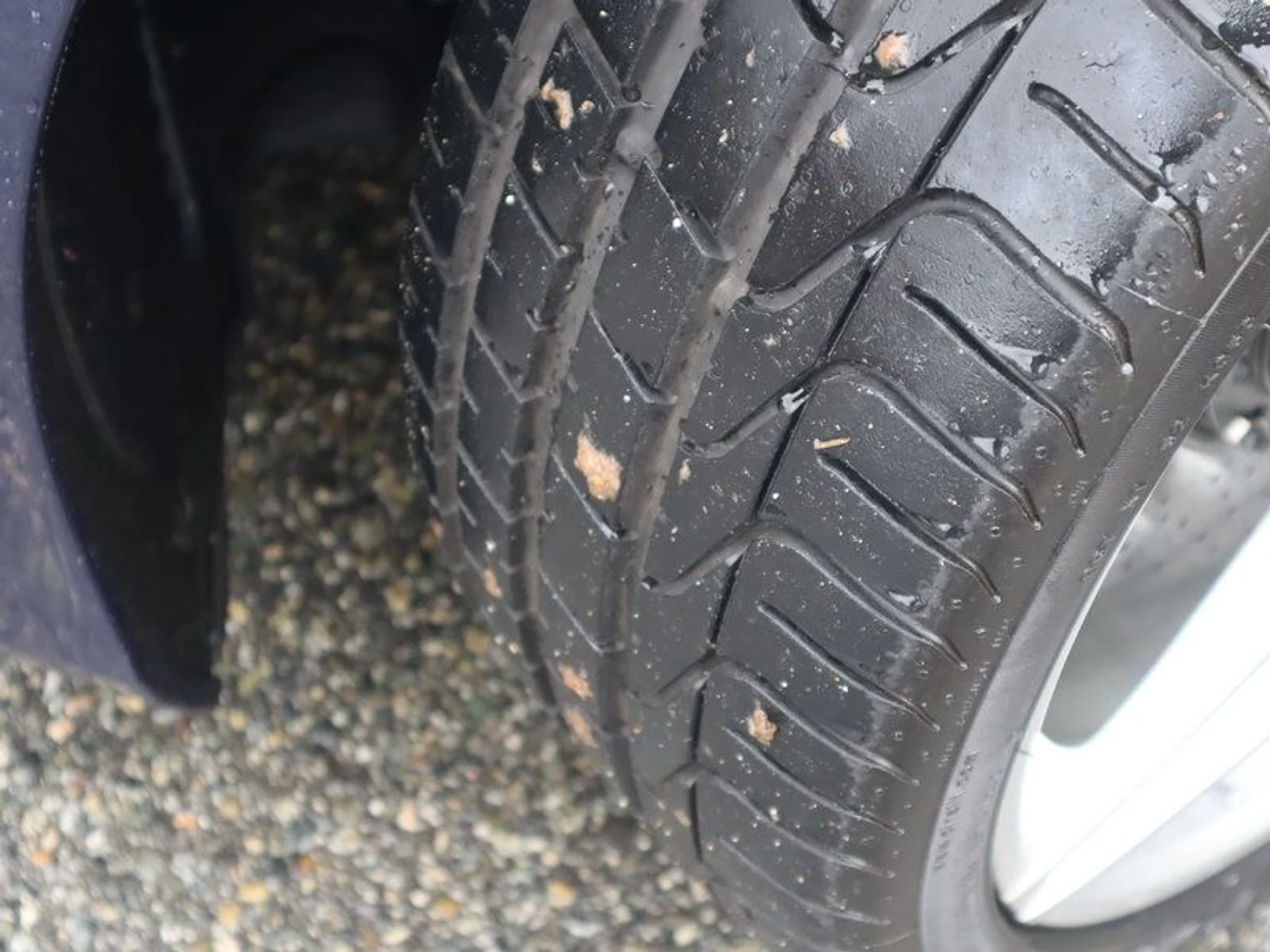 mph027_2436426086_37059373_03540_e4843d17db7aa4a70ebb79edd5a34e05_40a2b56717