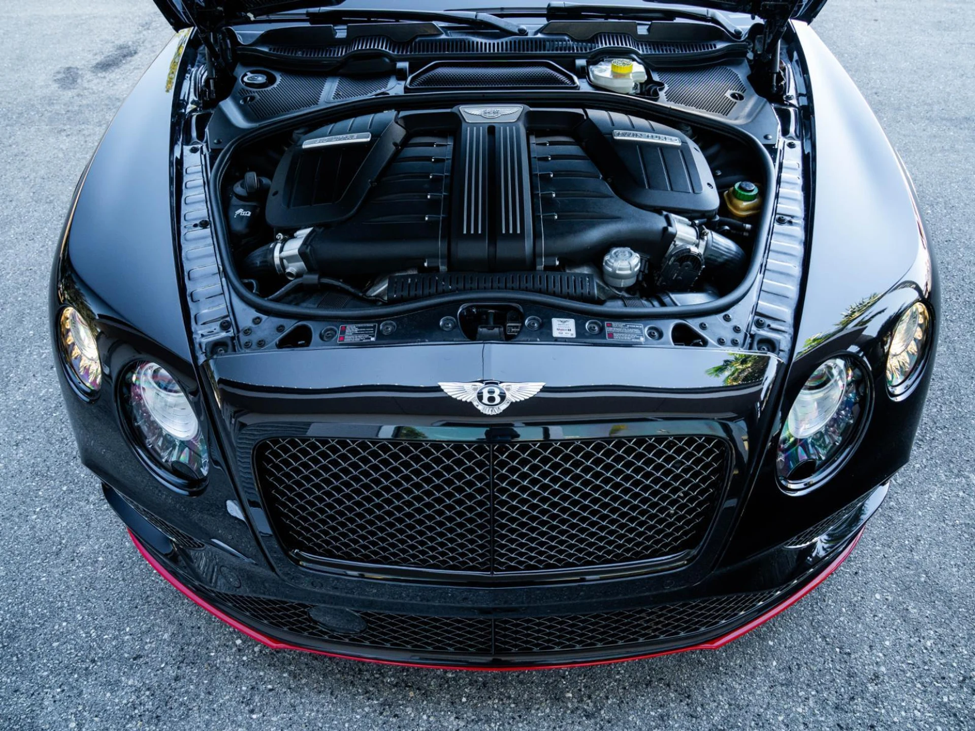 mph027_2540774618_Used_2017_bentley_Continental_GT_Speed_1770201415_e8987b3ac7