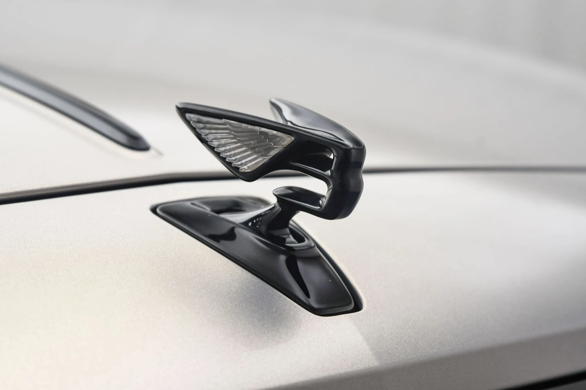 mph027_2807779624_1e67200e_4e63_42b5_9993_5979ebbec76f_8667e05157