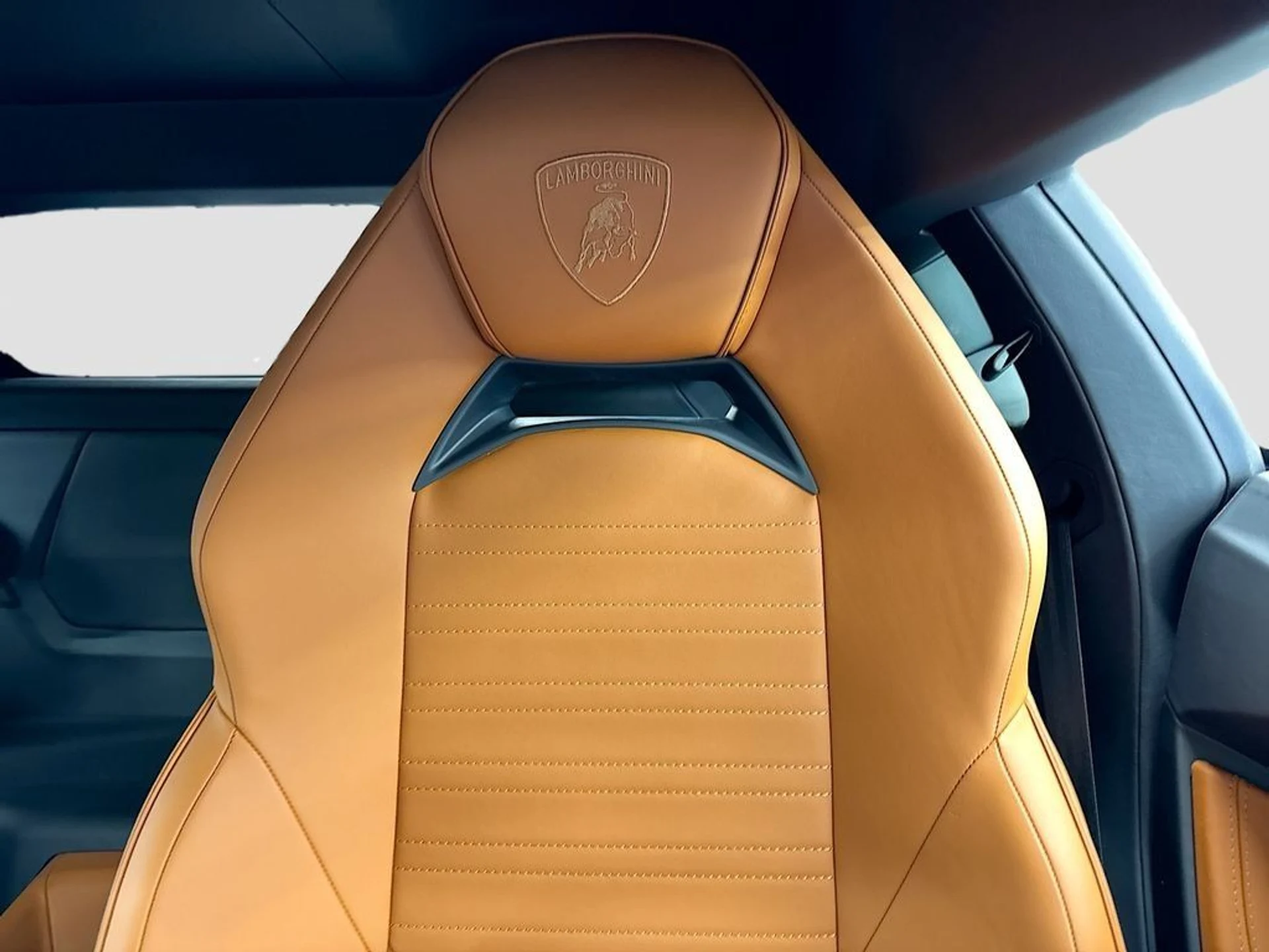 mph027_2890451518_dd0e558e7ce6c1f09f3acb6d6e2e1e27_e949816032